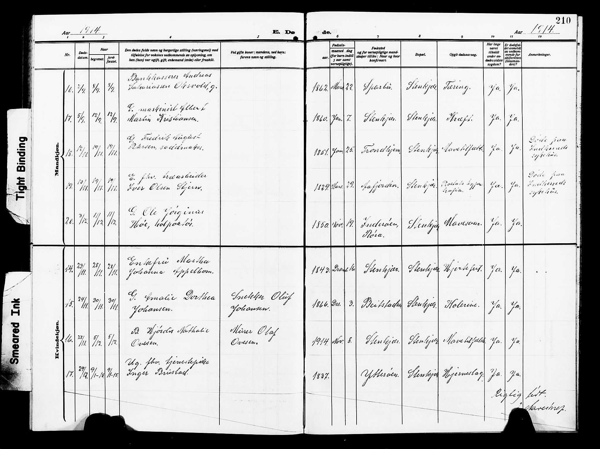 Ministerialprotokoller, klokkerbøker og fødselsregistre - Nord-Trøndelag, SAT/A-1458/739/L0376: Parish register (copy) no. 739C04, 1908-1917, p. 210