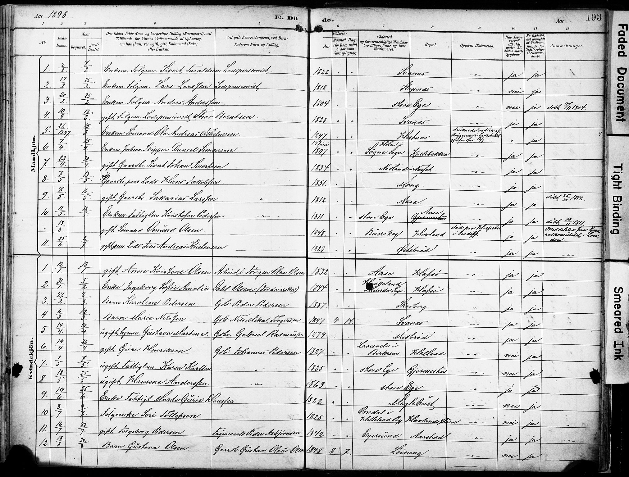 Eigersund sokneprestkontor, AV/SAST-A-101807/S08/L0018: Parish register (official) no. A 17, 1892-1905, p. 193