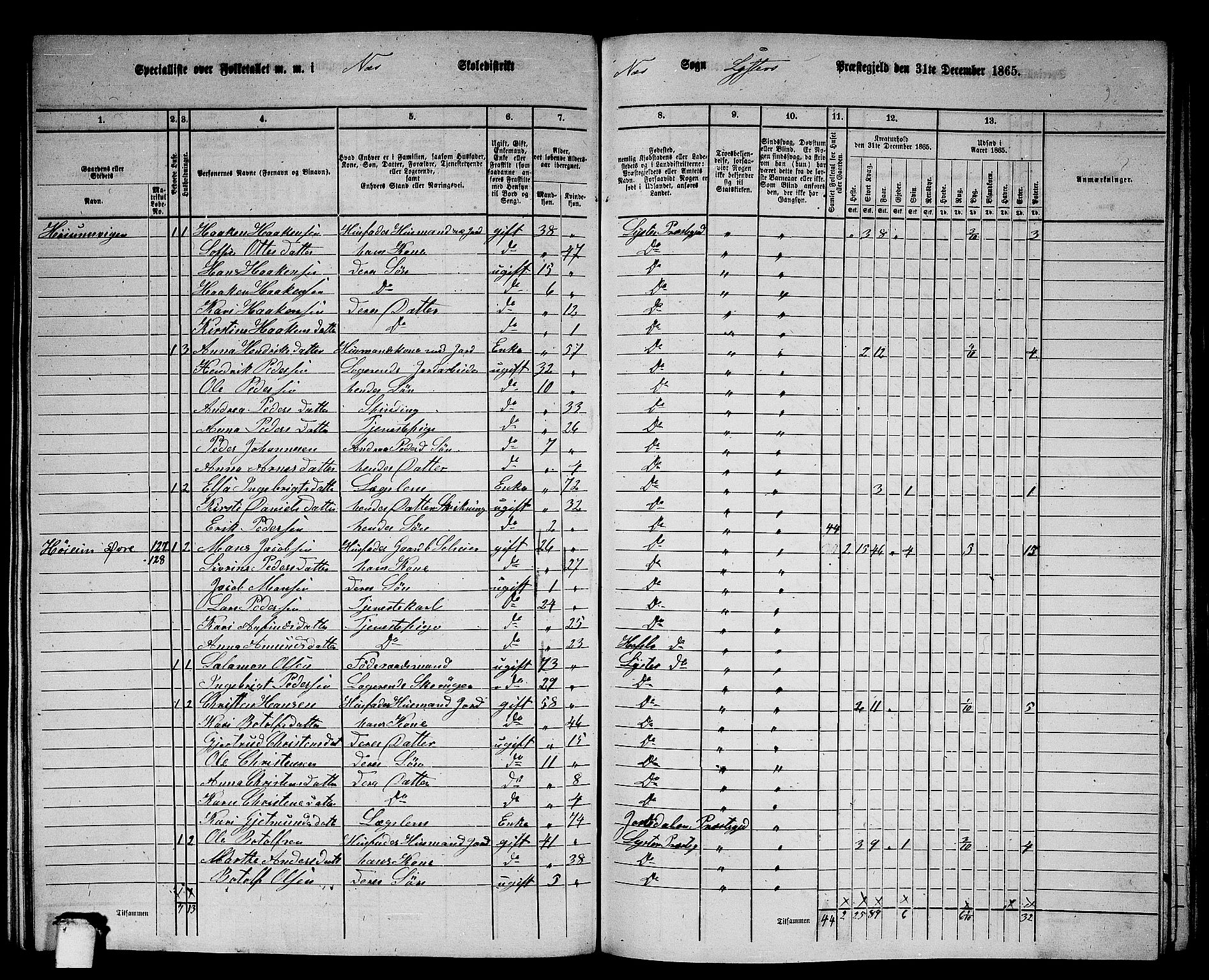 RA, 1865 census for Luster, 1865, p. 119