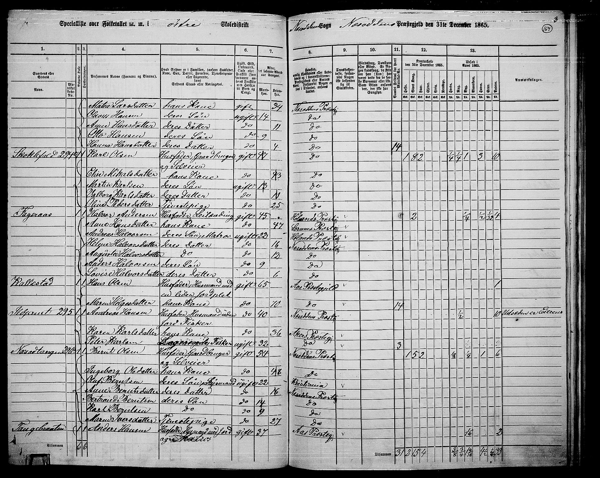 RA, 1865 census for Nesodden, 1865, p. 9