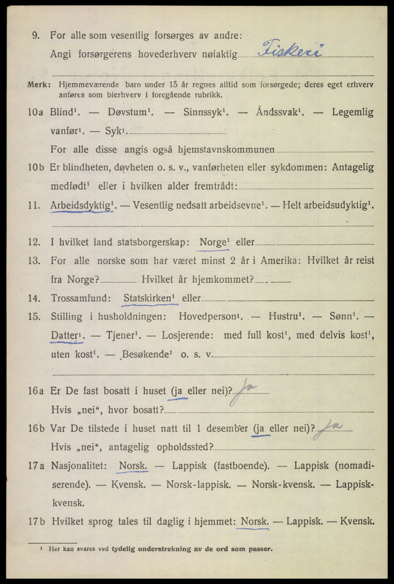 SAT, 1920 census for Bodin, 1920, p. 1919