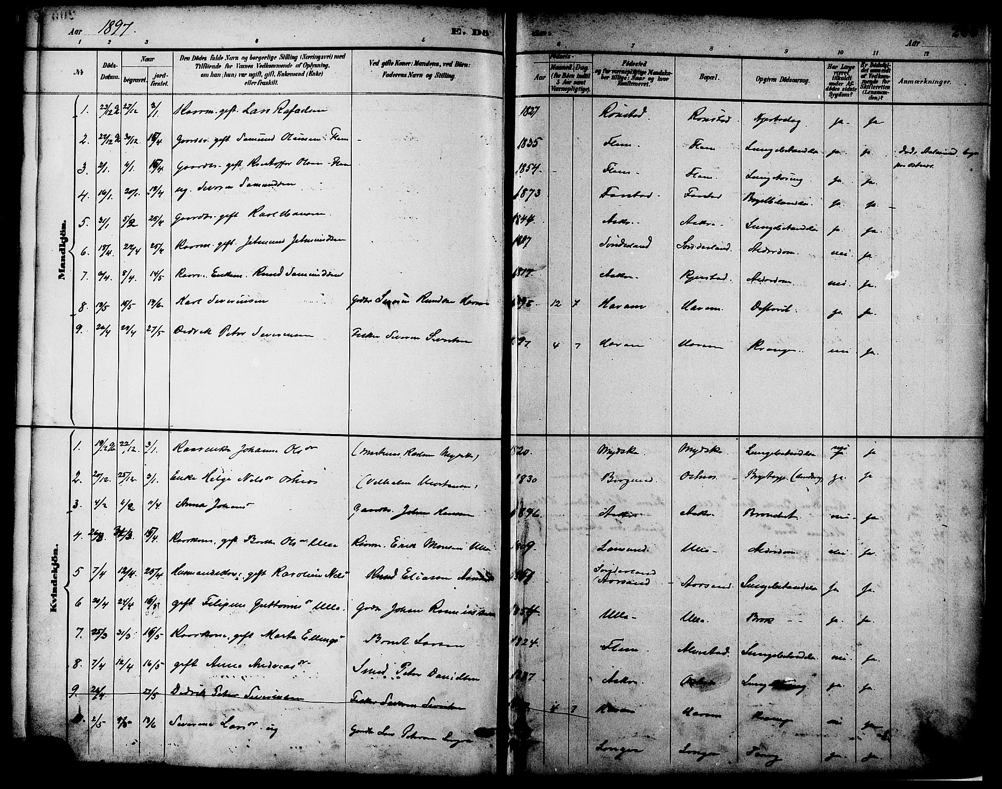 Ministerialprotokoller, klokkerbøker og fødselsregistre - Møre og Romsdal, AV/SAT-A-1454/536/L0501: Parish register (official) no. 536A10, 1884-1896, p. 206