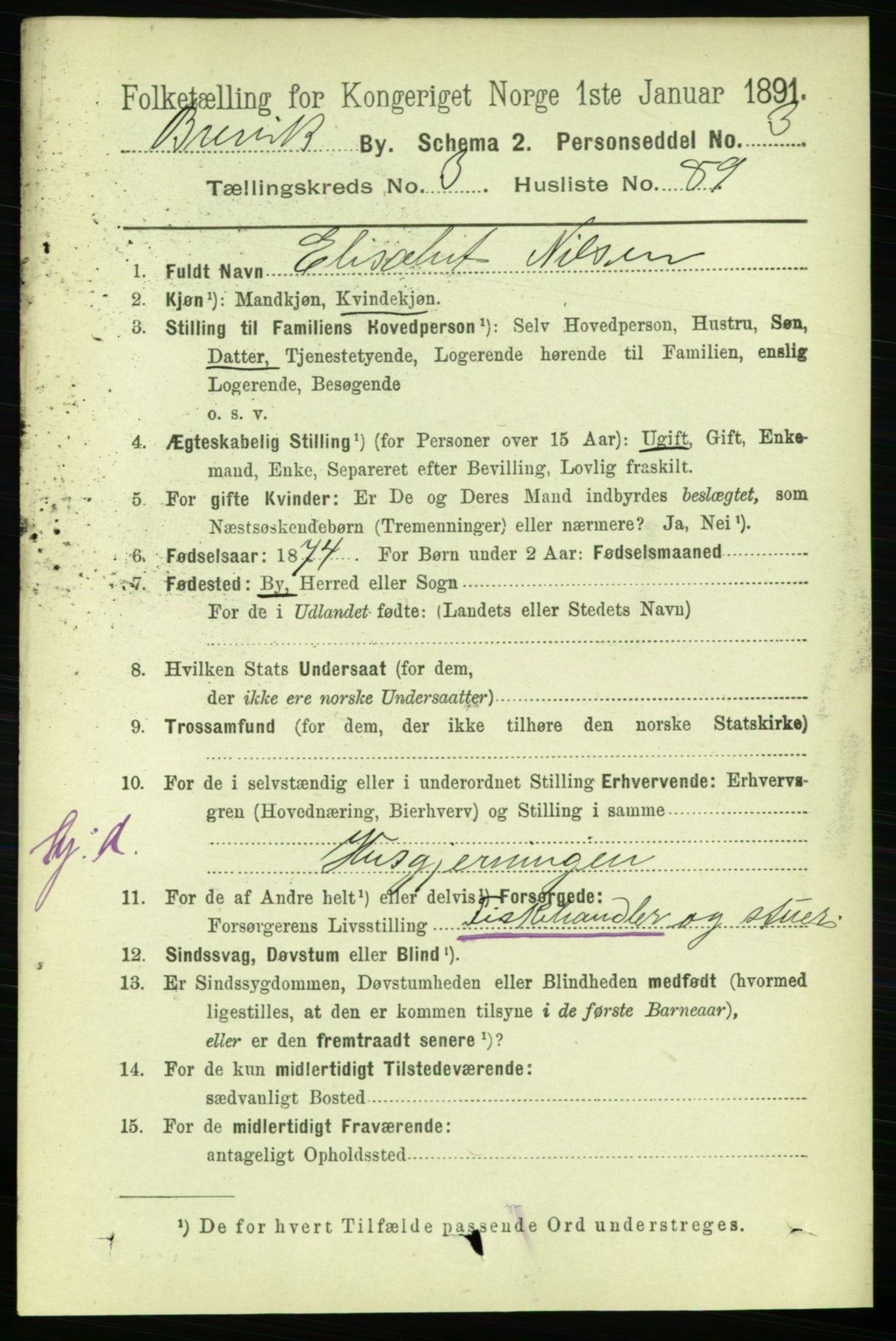 RA, 1891 census for 0804 Brevik, 1891, p. 2694