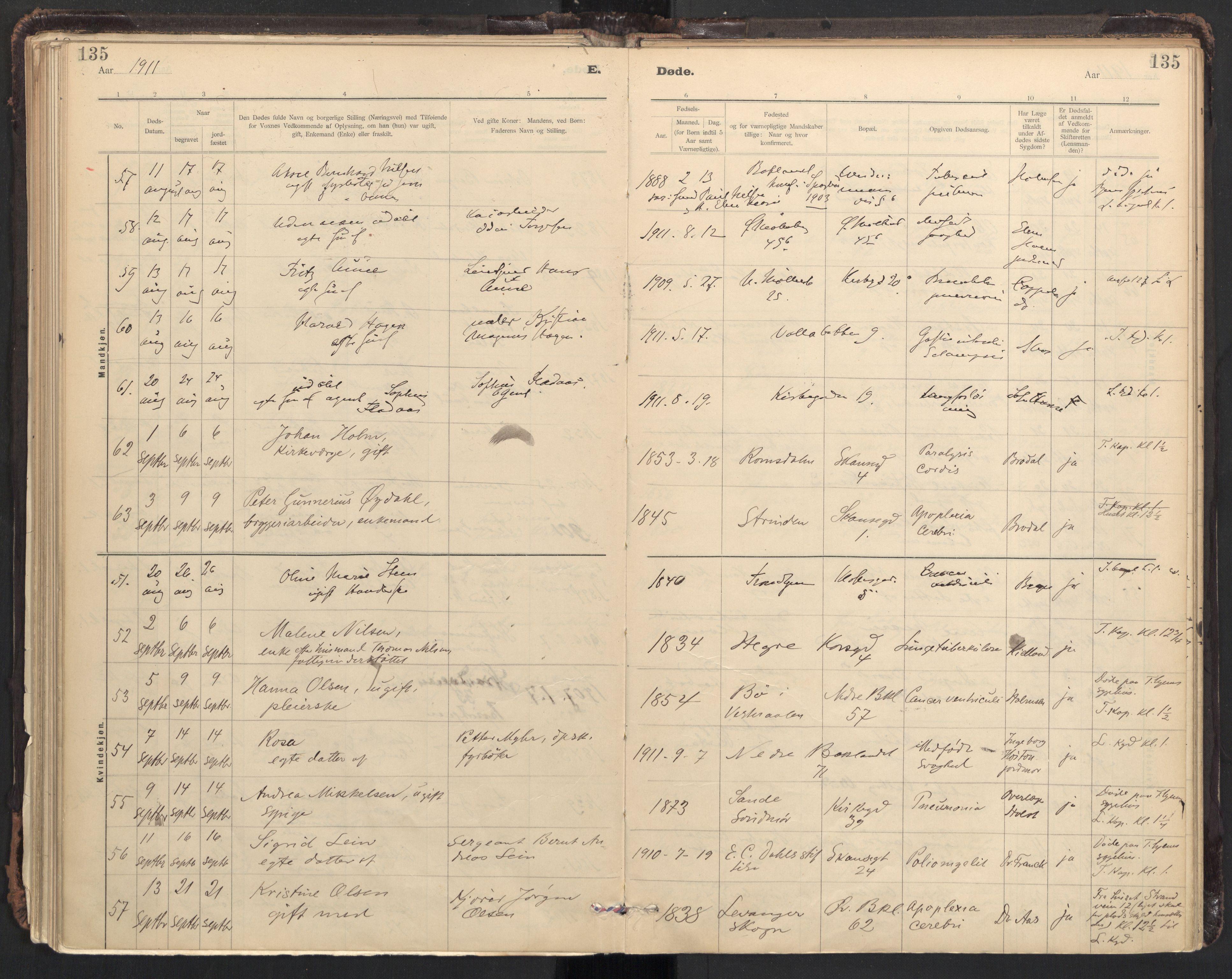 Ministerialprotokoller, klokkerbøker og fødselsregistre - Sør-Trøndelag, AV/SAT-A-1456/604/L0204: Parish register (official) no. 604A24, 1911-1920, p. 135