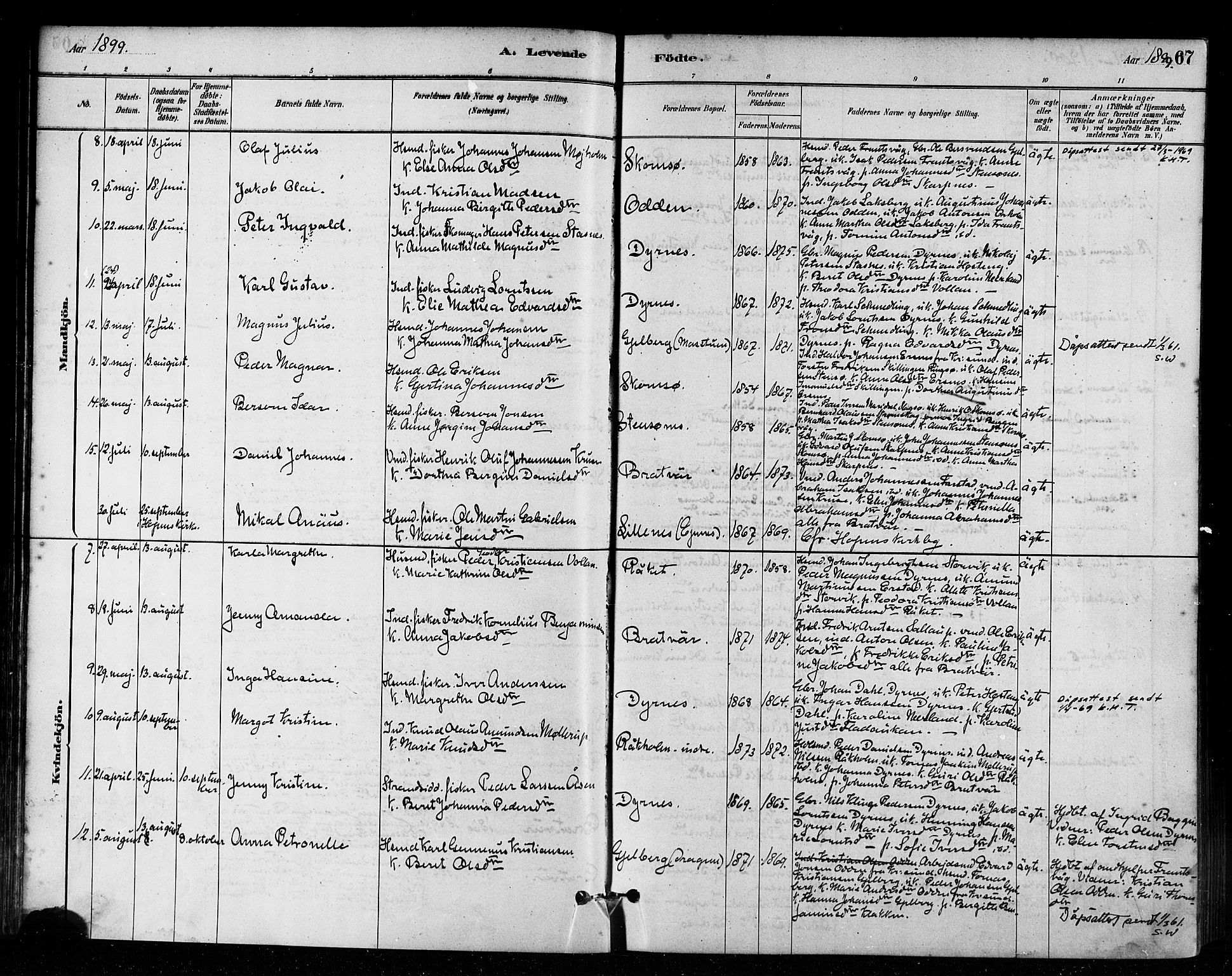 Ministerialprotokoller, klokkerbøker og fødselsregistre - Møre og Romsdal, AV/SAT-A-1454/582/L0947: Parish register (official) no. 582A01, 1880-1900, p. 67