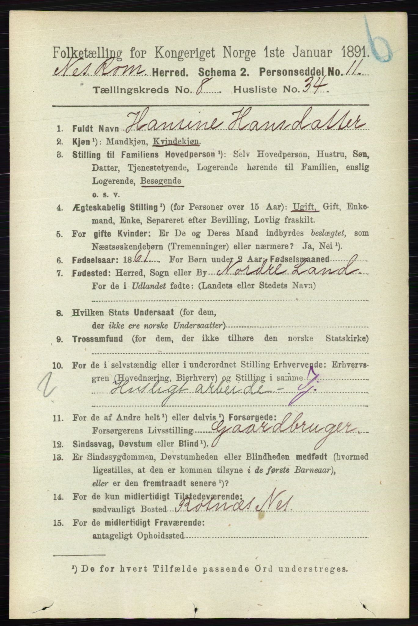 RA, 1891 census for 0236 Nes, 1891, p. 4823