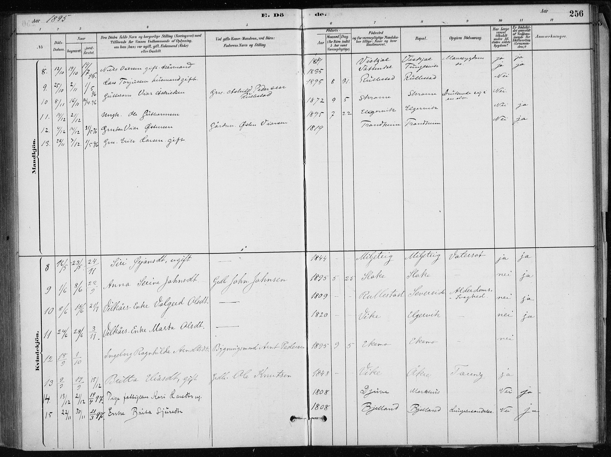 Skånevik sokneprestembete, AV/SAB-A-77801/H/Haa: Parish register (official) no. E  1, 1879-1901, p. 256