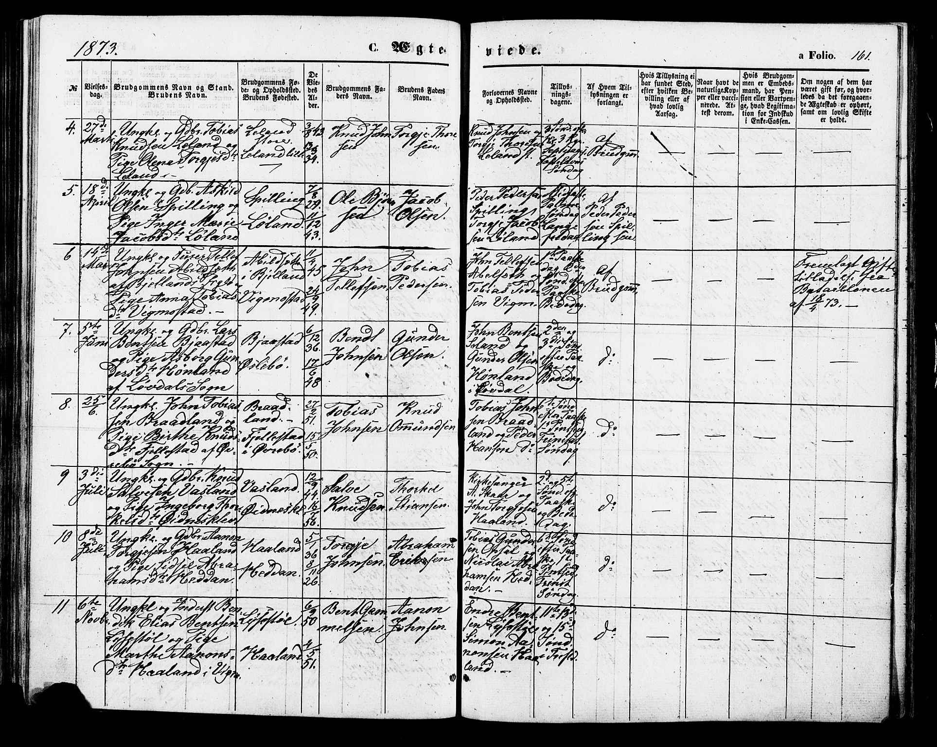 Nord-Audnedal sokneprestkontor, SAK/1111-0032/F/Fa/Fab/L0002: Parish register (official) no. A 2, 1859-1882, p. 161