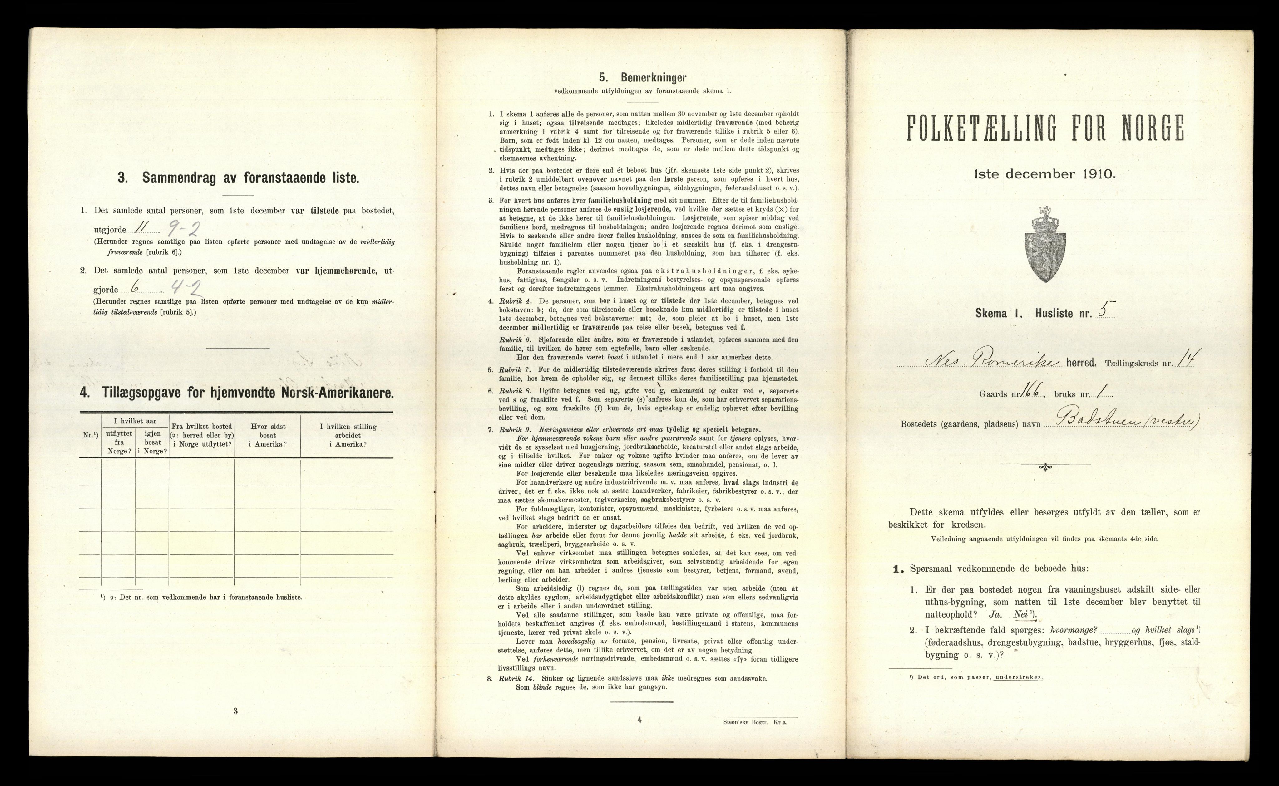 RA, 1910 census for Nes, 1910, p. 1884