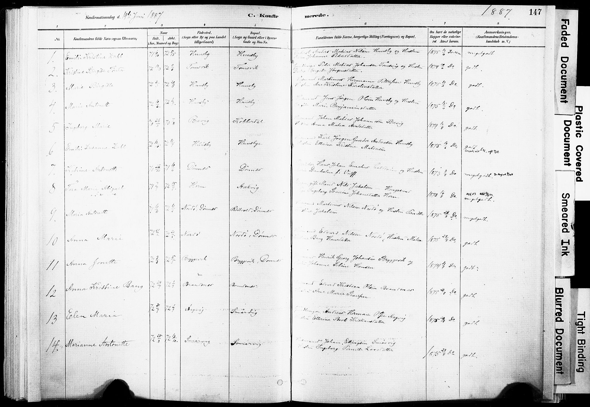 Ministerialprotokoller, klokkerbøker og fødselsregistre - Nordland, SAT/A-1459/835/L0525: Parish register (official) no. 835A03I, 1881-1910, p. 147