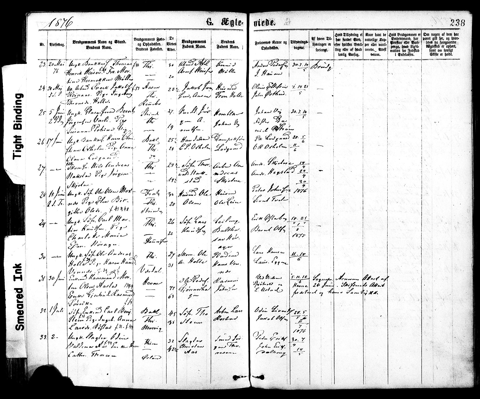 Ministerialprotokoller, klokkerbøker og fødselsregistre - Sør-Trøndelag, AV/SAT-A-1456/602/L0118: Parish register (official) no. 602A16, 1873-1879, p. 238