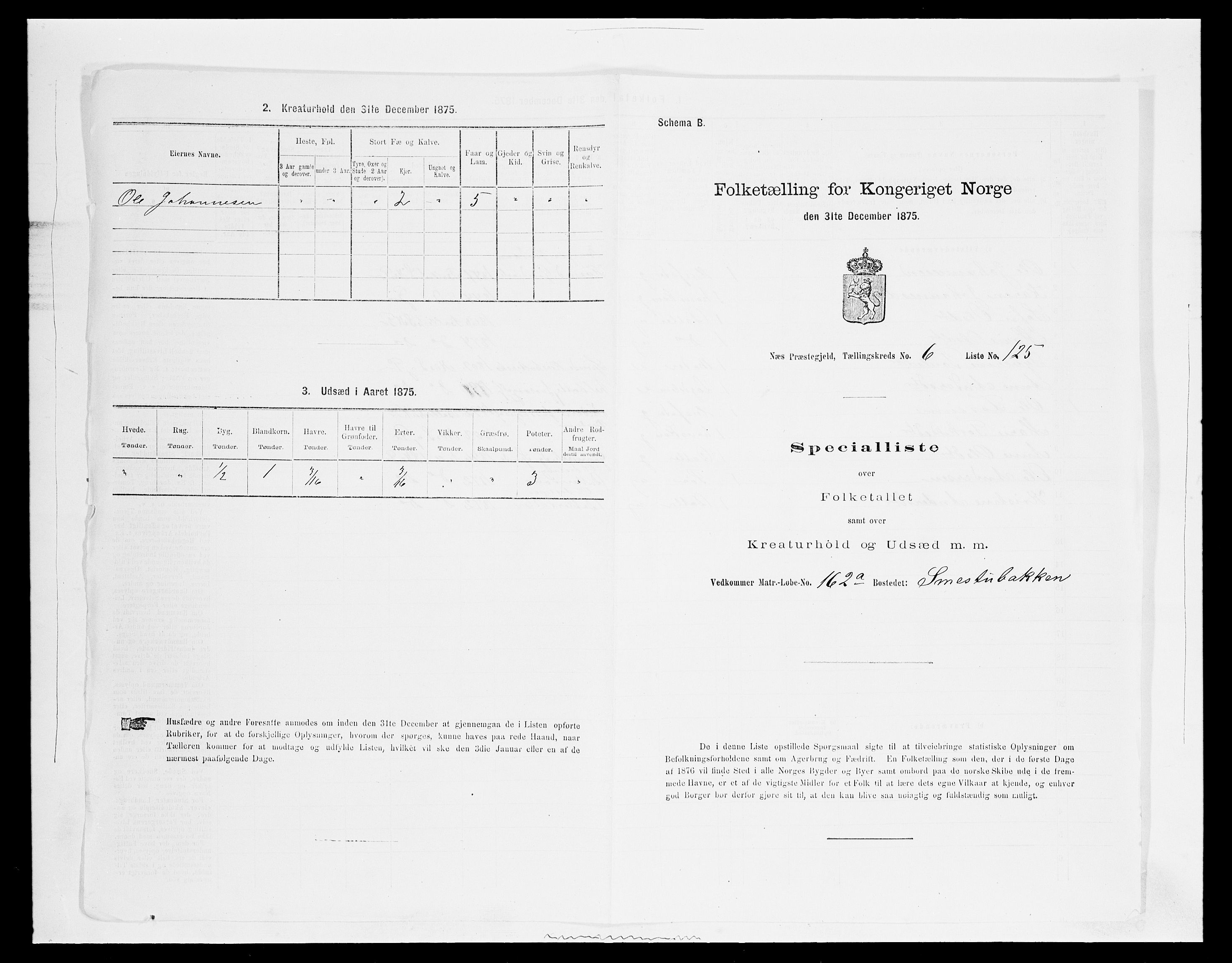 SAH, 1875 census for 0411P Nes, 1875, p. 1197