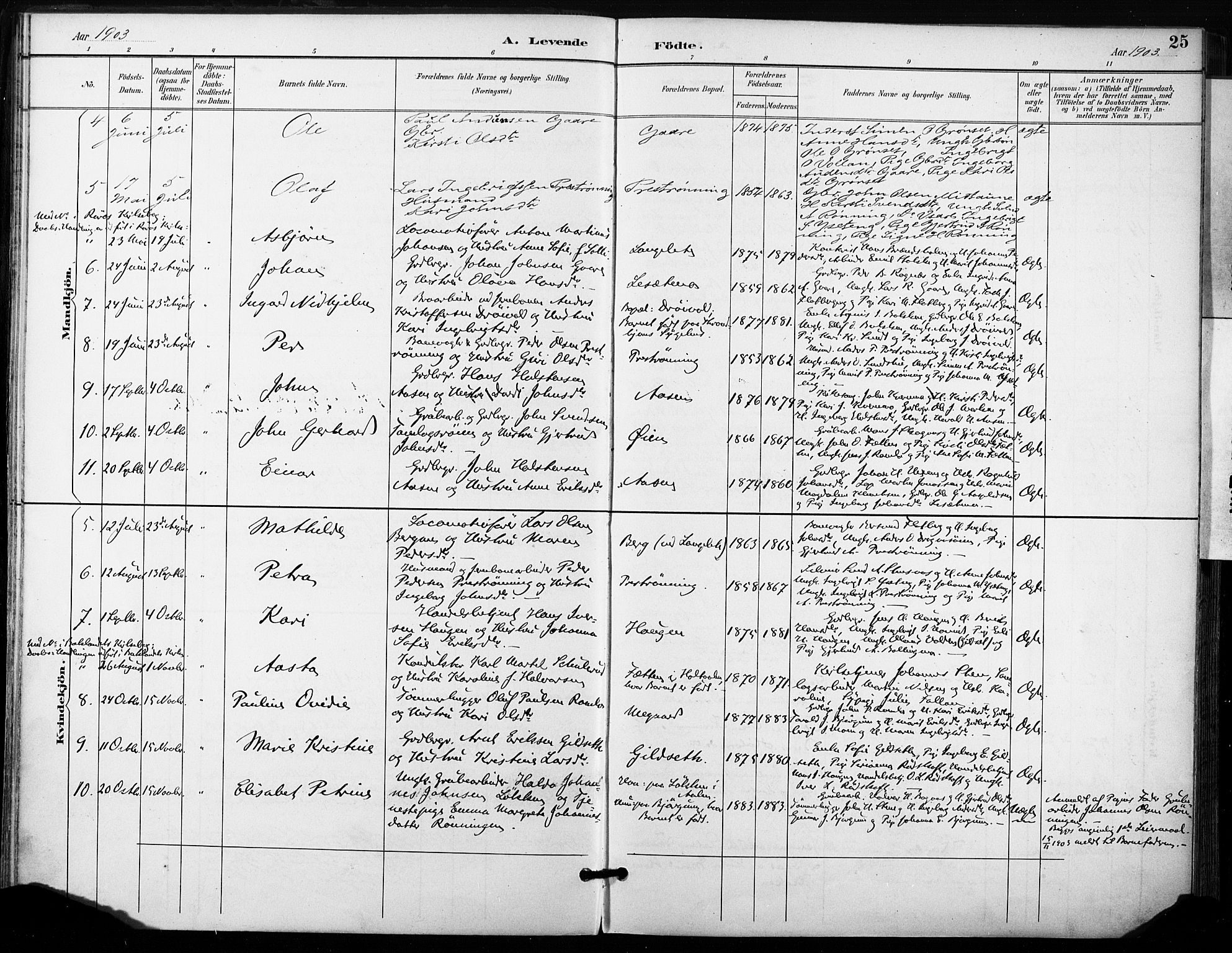 Ministerialprotokoller, klokkerbøker og fødselsregistre - Sør-Trøndelag, SAT/A-1456/685/L0973: Parish register (official) no. 685A10, 1891-1907, p. 25