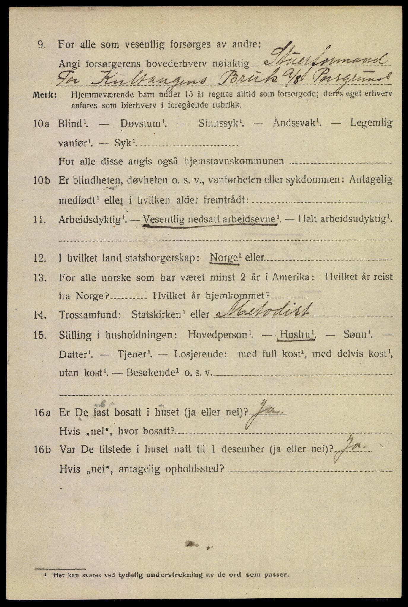 SAKO, 1920 census for Porsgrunn, 1920, p. 17378