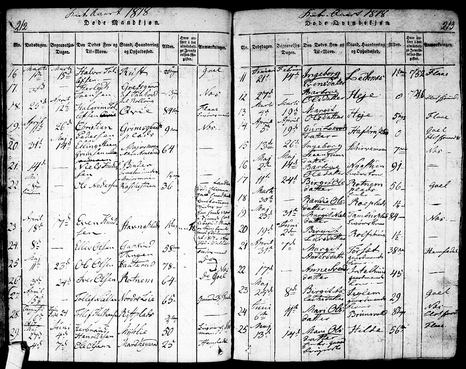 Nes kirkebøker, AV/SAKO-A-236/F/Fa/L0007: Parish register (official) no. 7, 1815-1823, p. 212-213