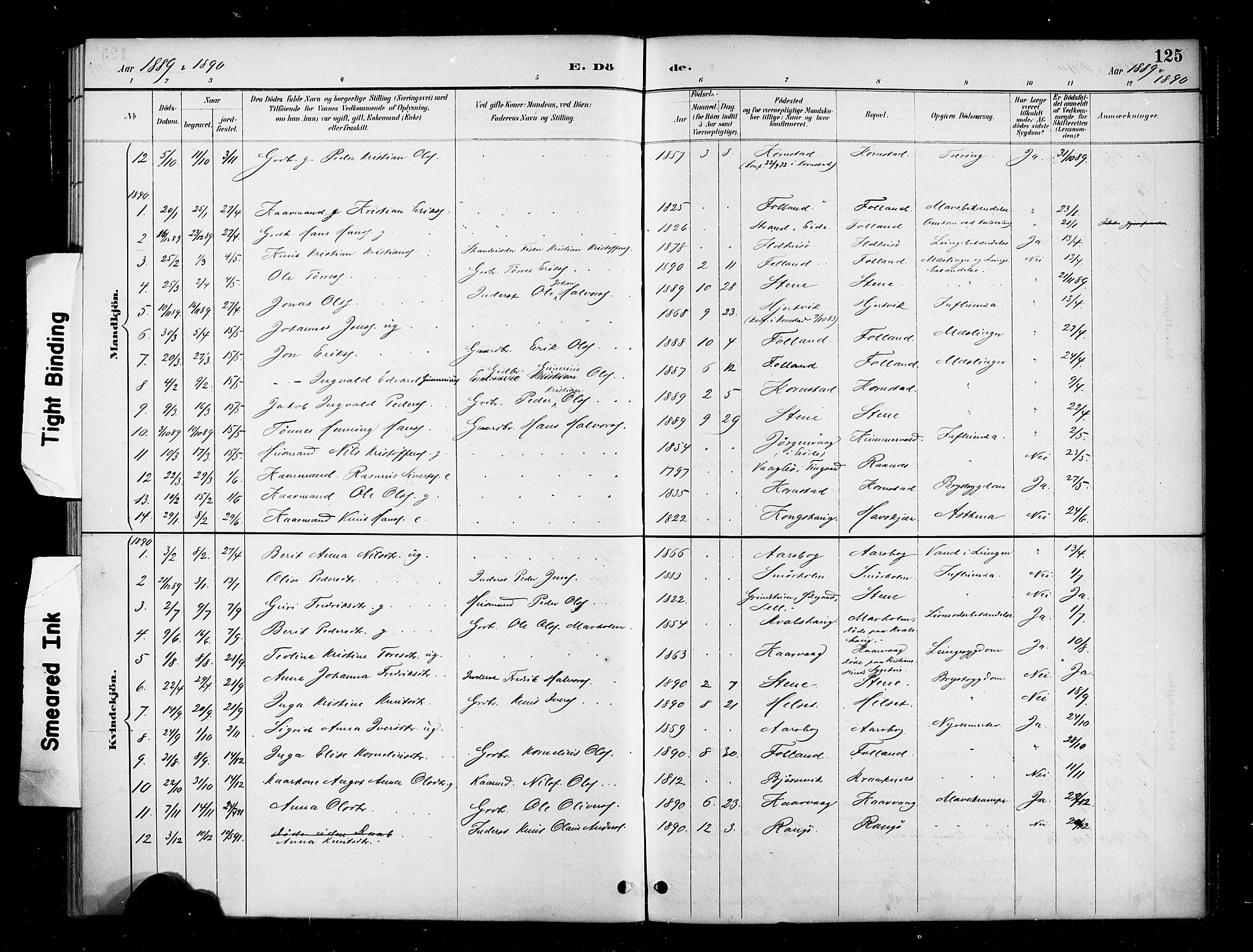 Ministerialprotokoller, klokkerbøker og fødselsregistre - Møre og Romsdal, SAT/A-1454/570/L0832: Parish register (official) no. 570A06, 1885-1900, p. 125