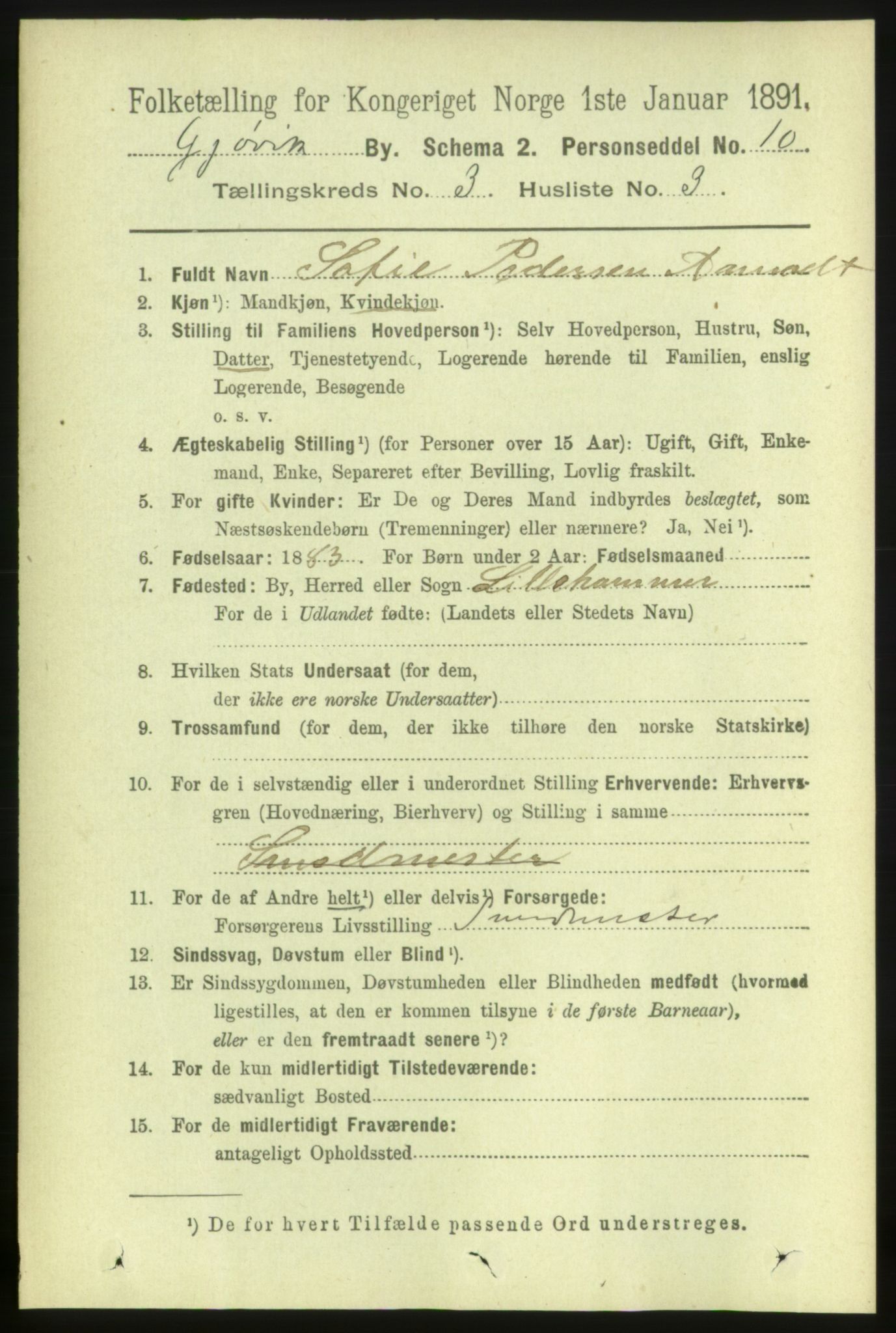 RA, 1891 census for 0502 Gjøvik, 1891, p. 1021