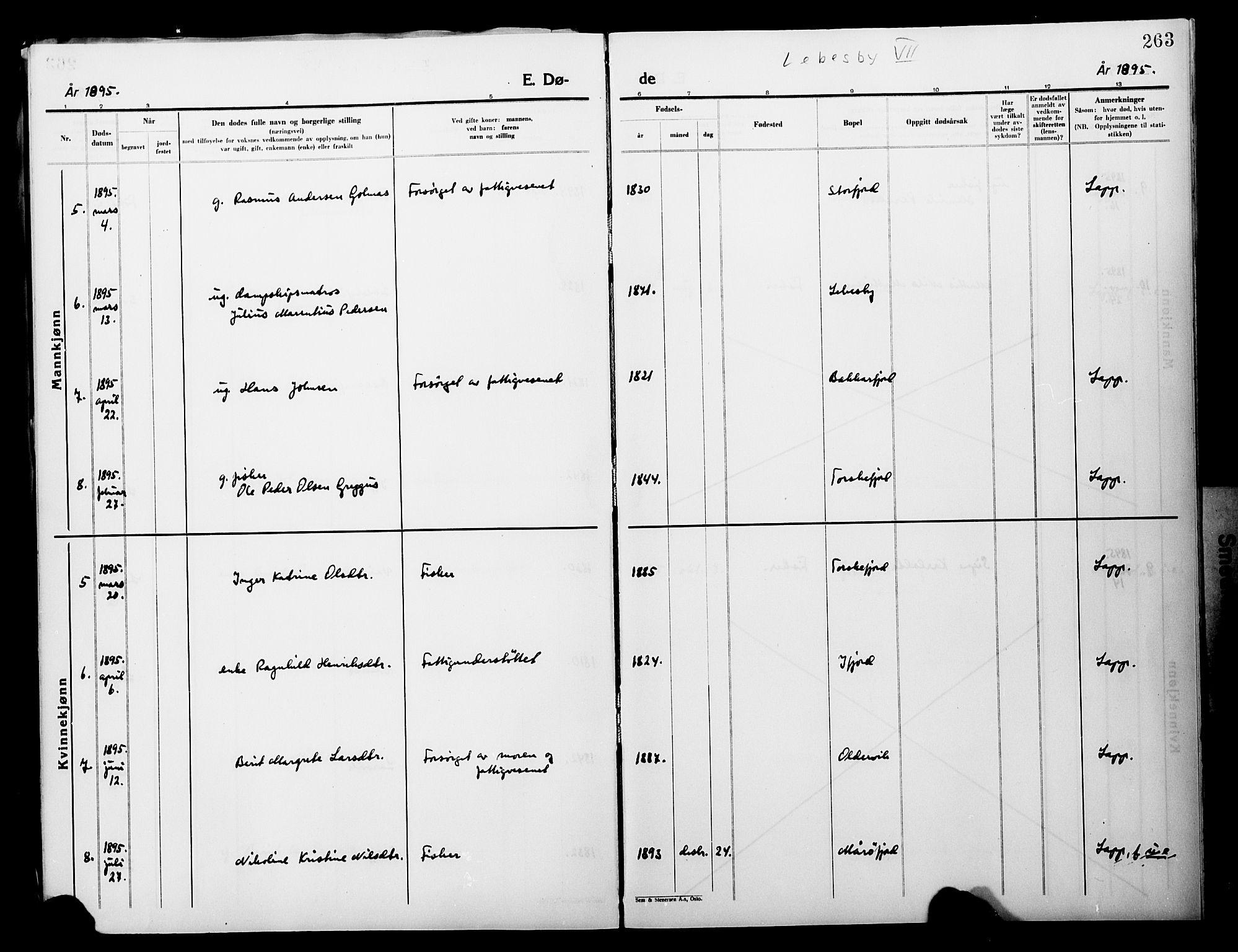 Lebesby sokneprestkontor, AV/SATØ-S-1353/H/Ha/L0004kirke: Parish register (official) no. 4, 1870-1902, p. 263