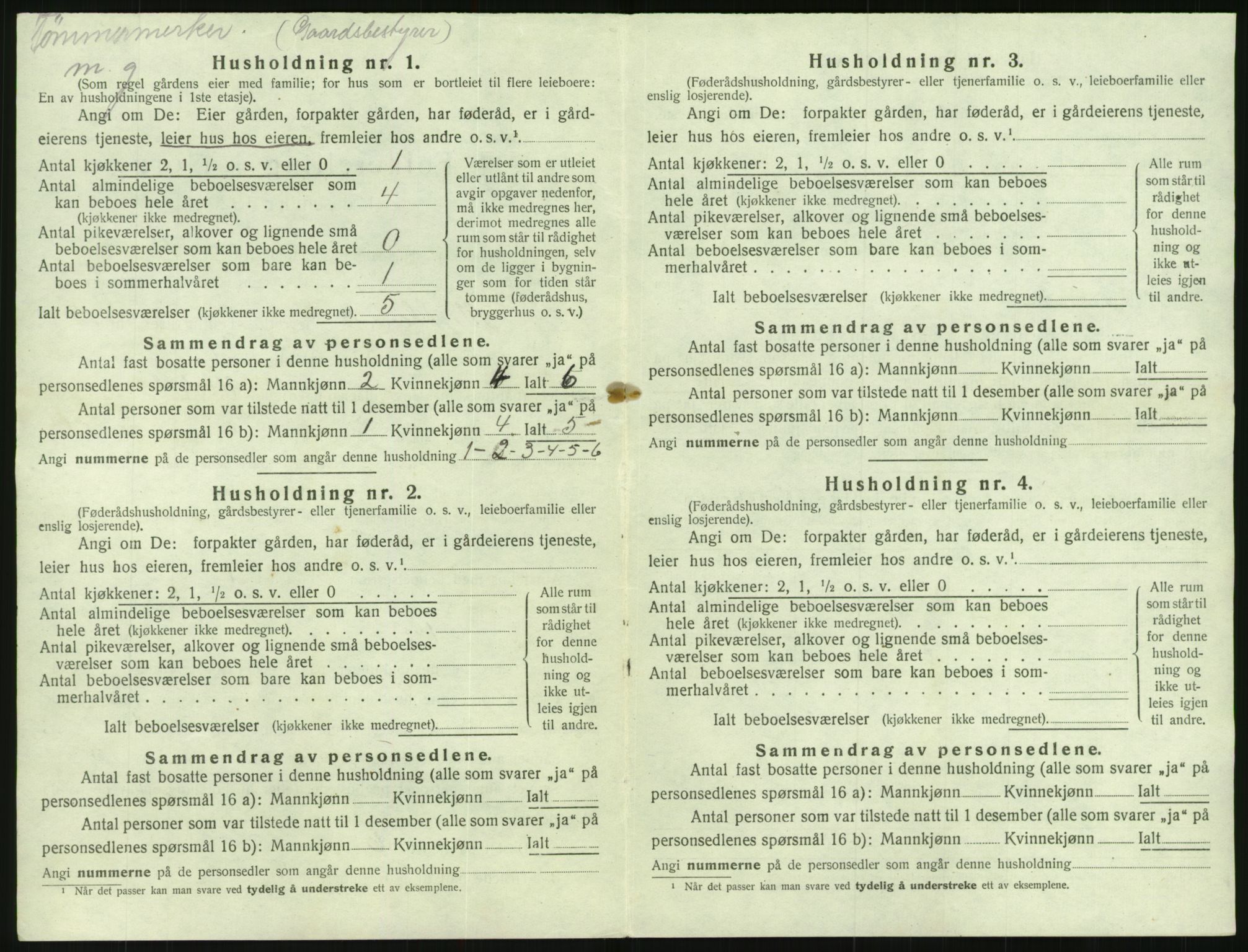 SAK, 1920 census for Mykland, 1920, p. 249