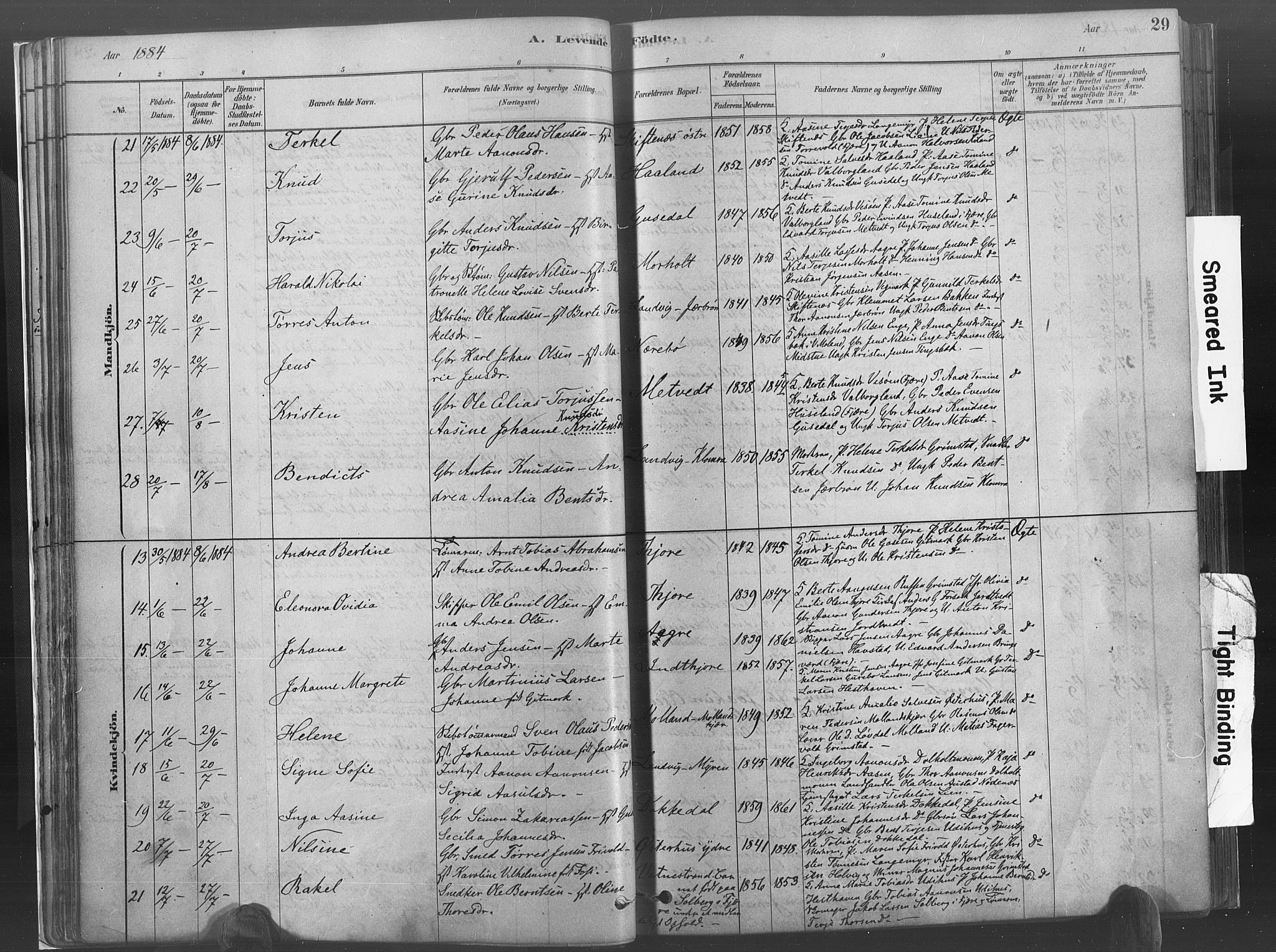 Hommedal sokneprestkontor, AV/SAK-1111-0023/F/Fa/Fab/L0006: Parish register (official) no. A 6, 1878-1897, p. 29