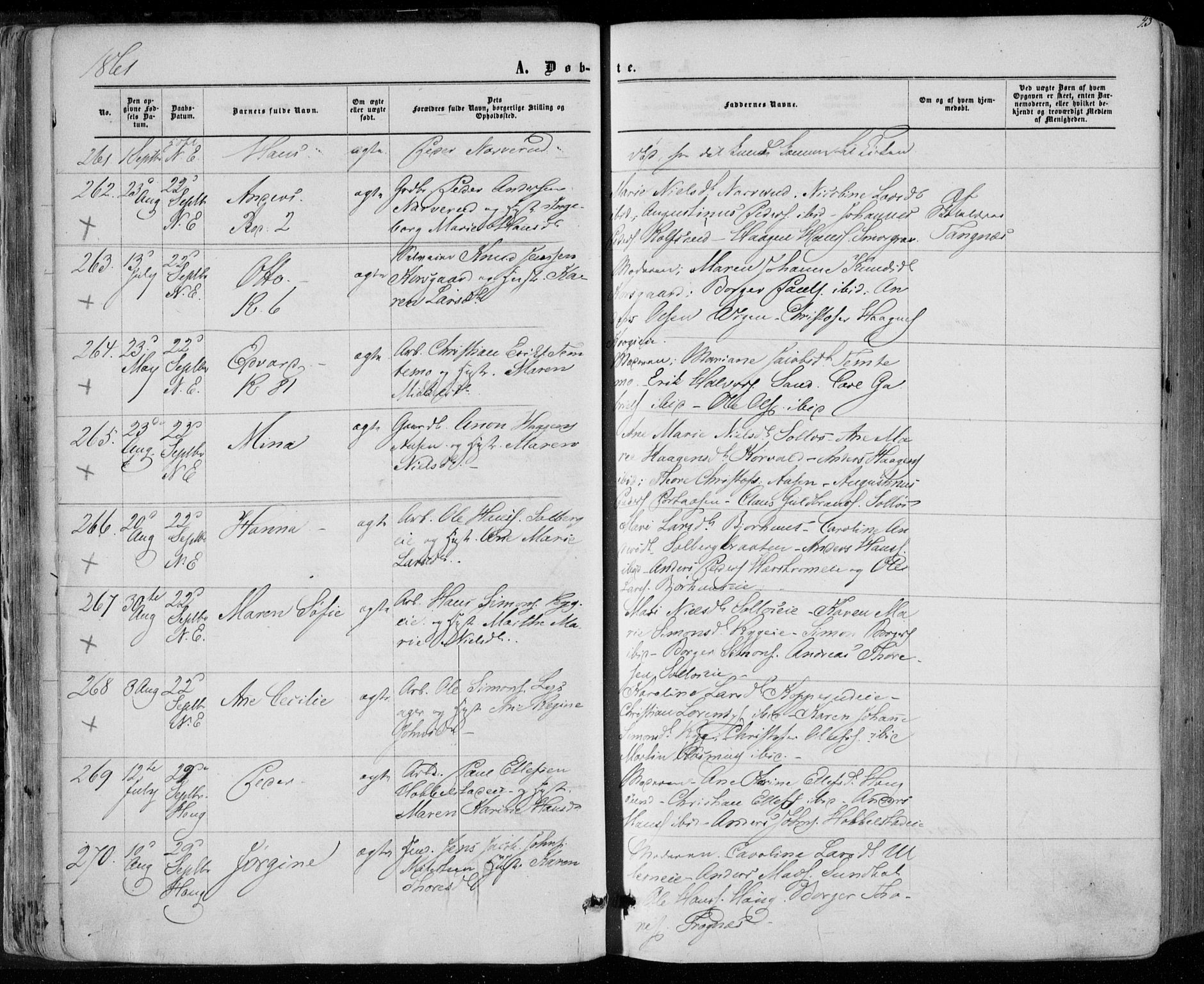Eiker kirkebøker, SAKO/A-4/F/Fa/L0016: Parish register (official) no. I 16, 1860-1868, p. 43