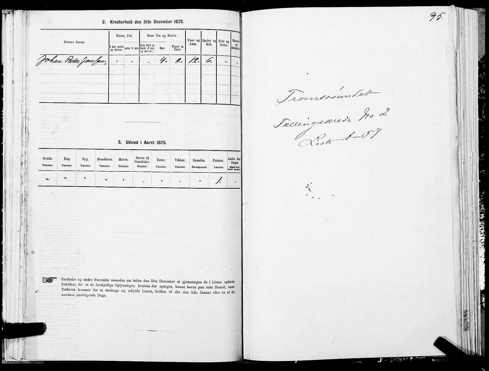 SATØ, 1875 census for 1934P Tromsøysund, 1875, p. 1095