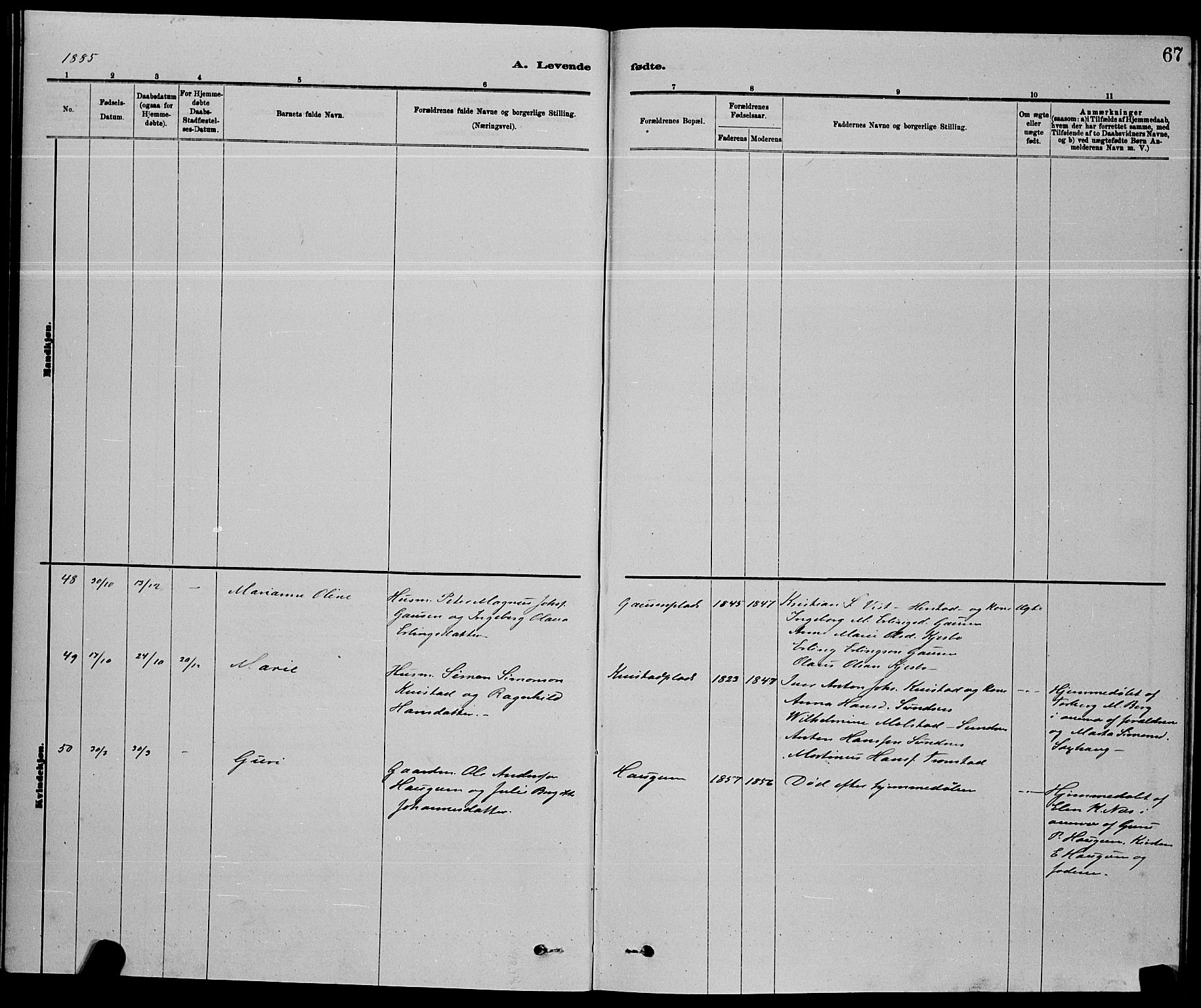 Ministerialprotokoller, klokkerbøker og fødselsregistre - Nord-Trøndelag, AV/SAT-A-1458/730/L0301: Parish register (copy) no. 730C04, 1880-1897, p. 67