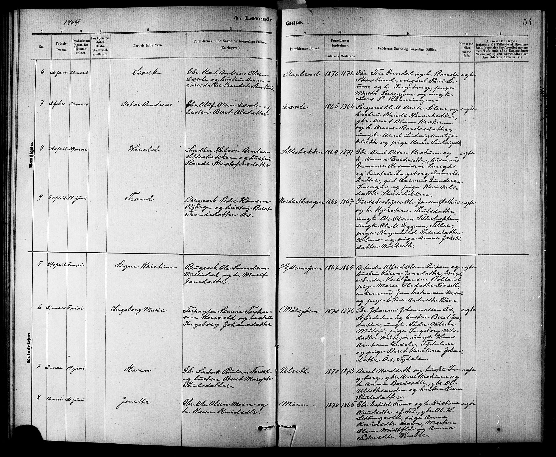 Ministerialprotokoller, klokkerbøker og fødselsregistre - Sør-Trøndelag, SAT/A-1456/618/L0452: Parish register (copy) no. 618C03, 1884-1906, p. 54