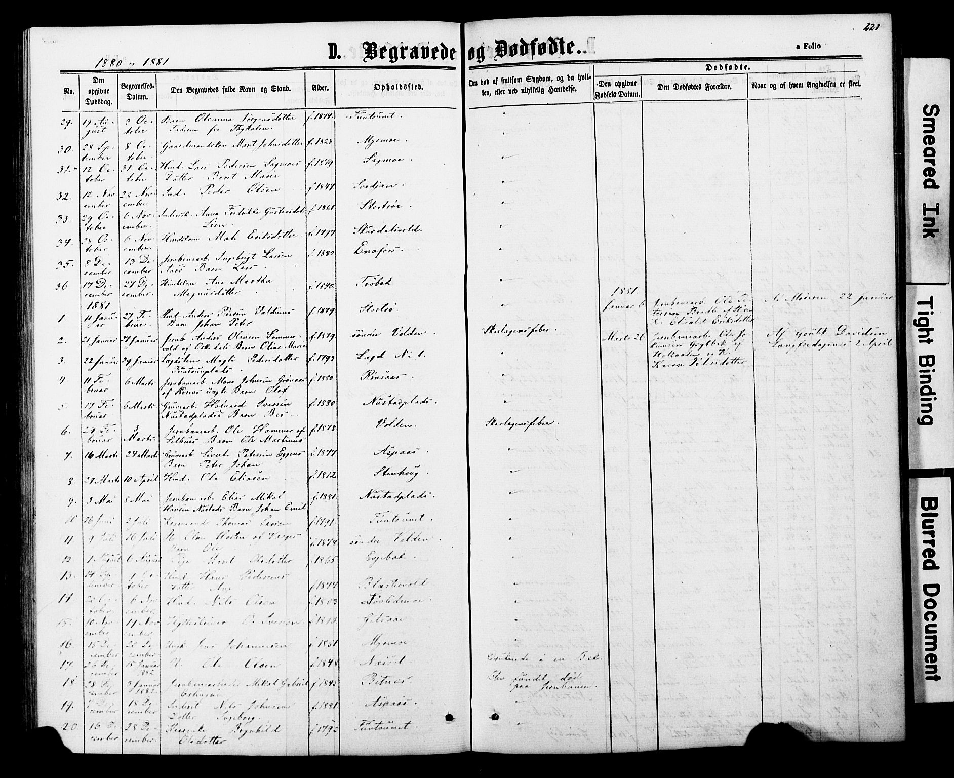 Ministerialprotokoller, klokkerbøker og fødselsregistre - Nord-Trøndelag, SAT/A-1458/706/L0049: Parish register (copy) no. 706C01, 1864-1895, p. 221