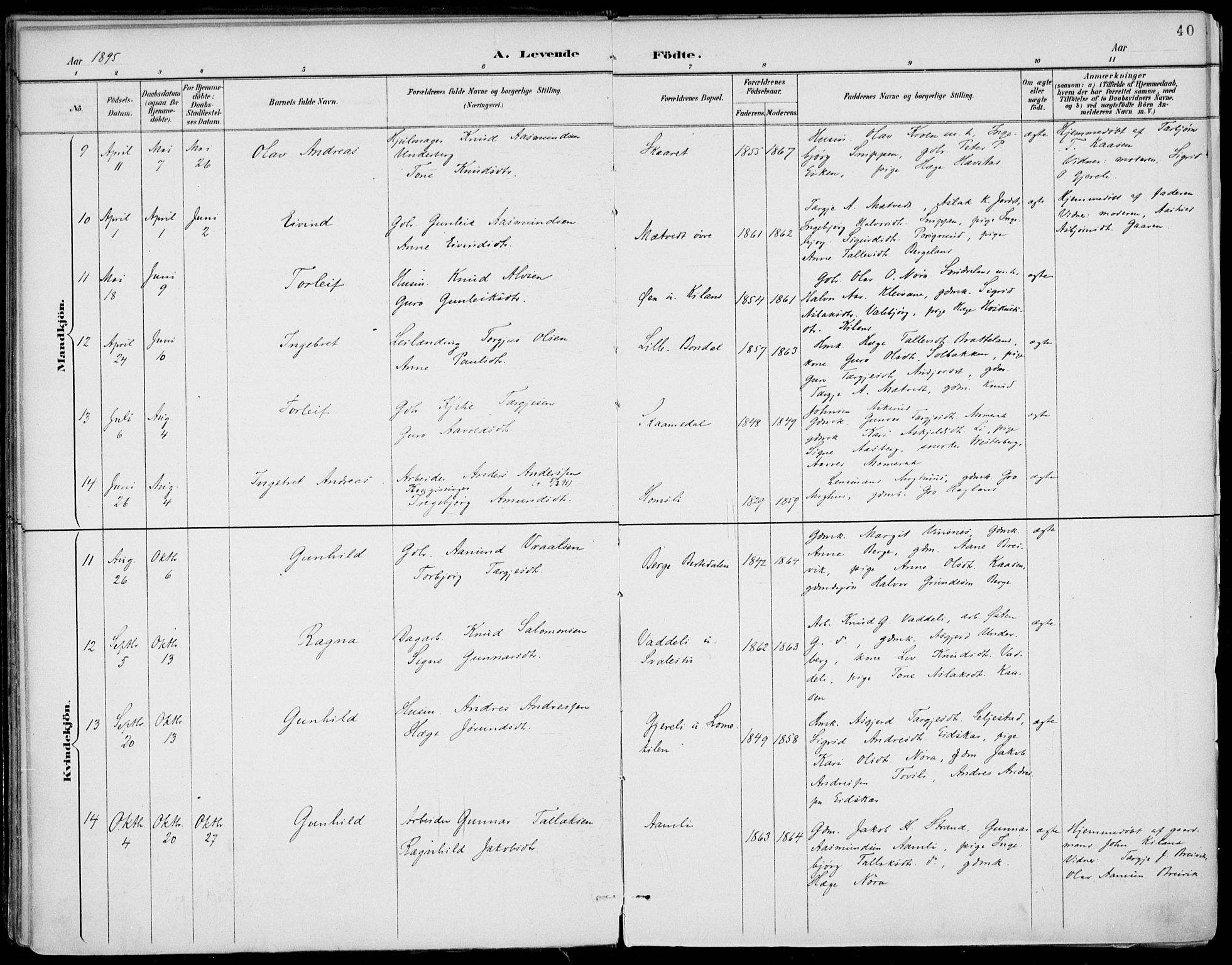 Fyresdal kirkebøker, AV/SAKO-A-263/F/Fa/L0007: Parish register (official) no. I 7, 1887-1914, p. 40