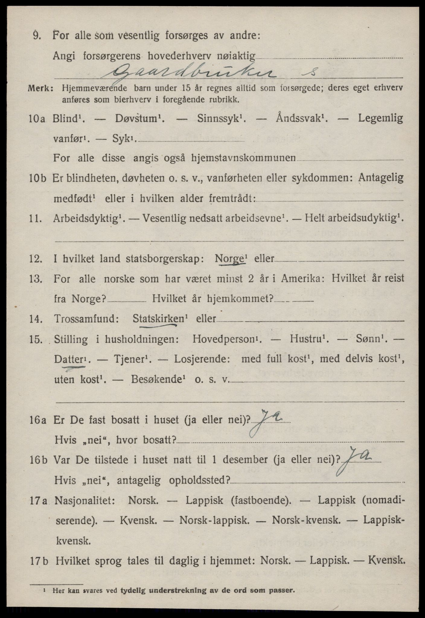 SAT, 1920 census for Støren, 1920, p. 2407