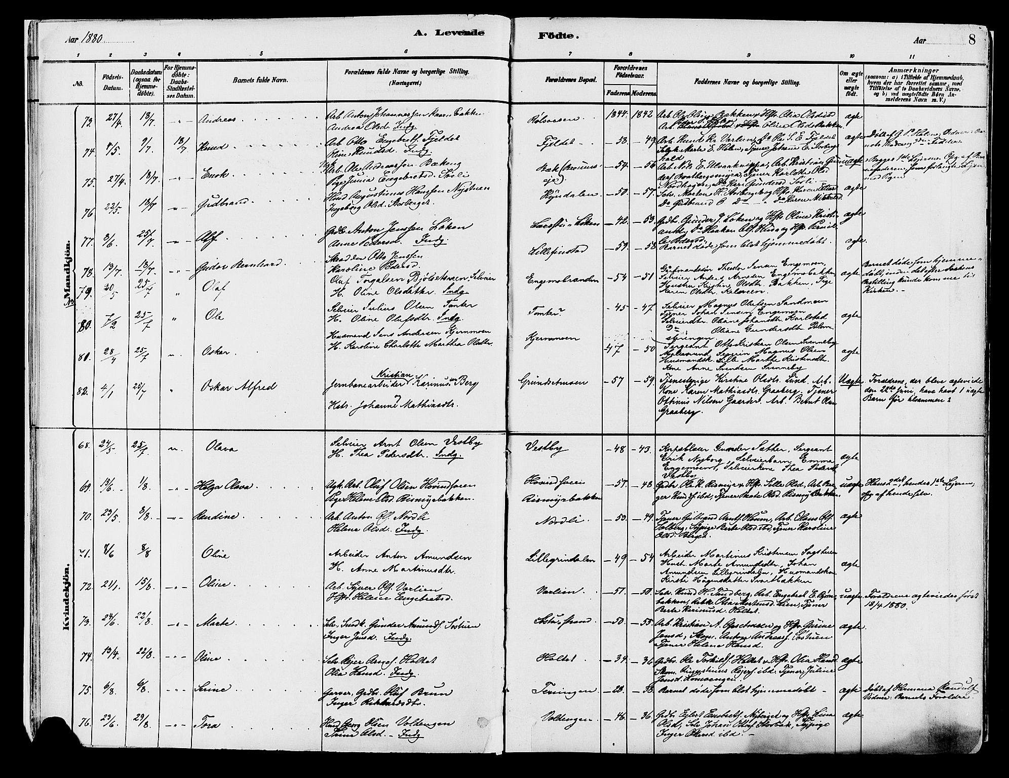 Elverum prestekontor, SAH/PREST-044/H/Ha/Haa/L0013: Parish register (official) no. 13, 1880-1890, p. 8