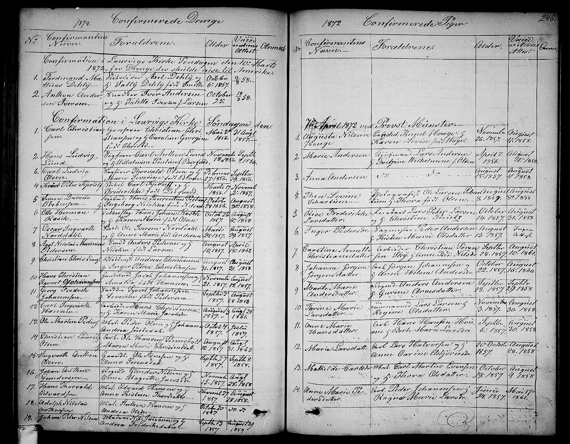 Larvik kirkebøker, SAKO/A-352/G/Ga/L0004: Parish register (copy) no. I 4, 1871-1888, p. 246