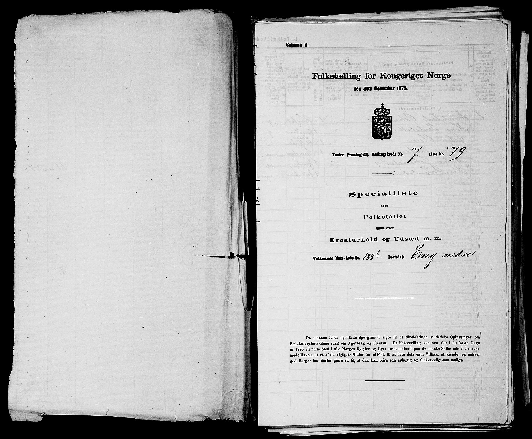 RA, 1875 census for 0137P Våler, 1875, p. 863