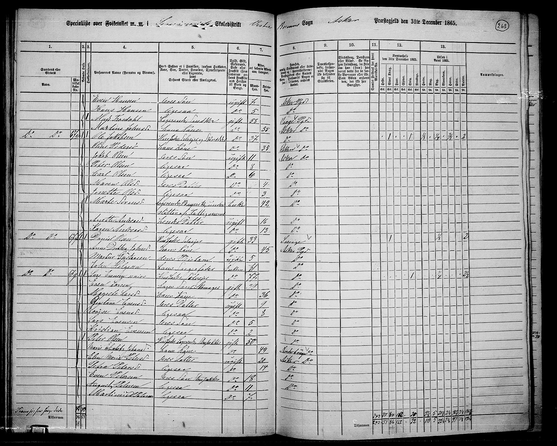 RA, 1865 census for Asker, 1865, p. 251