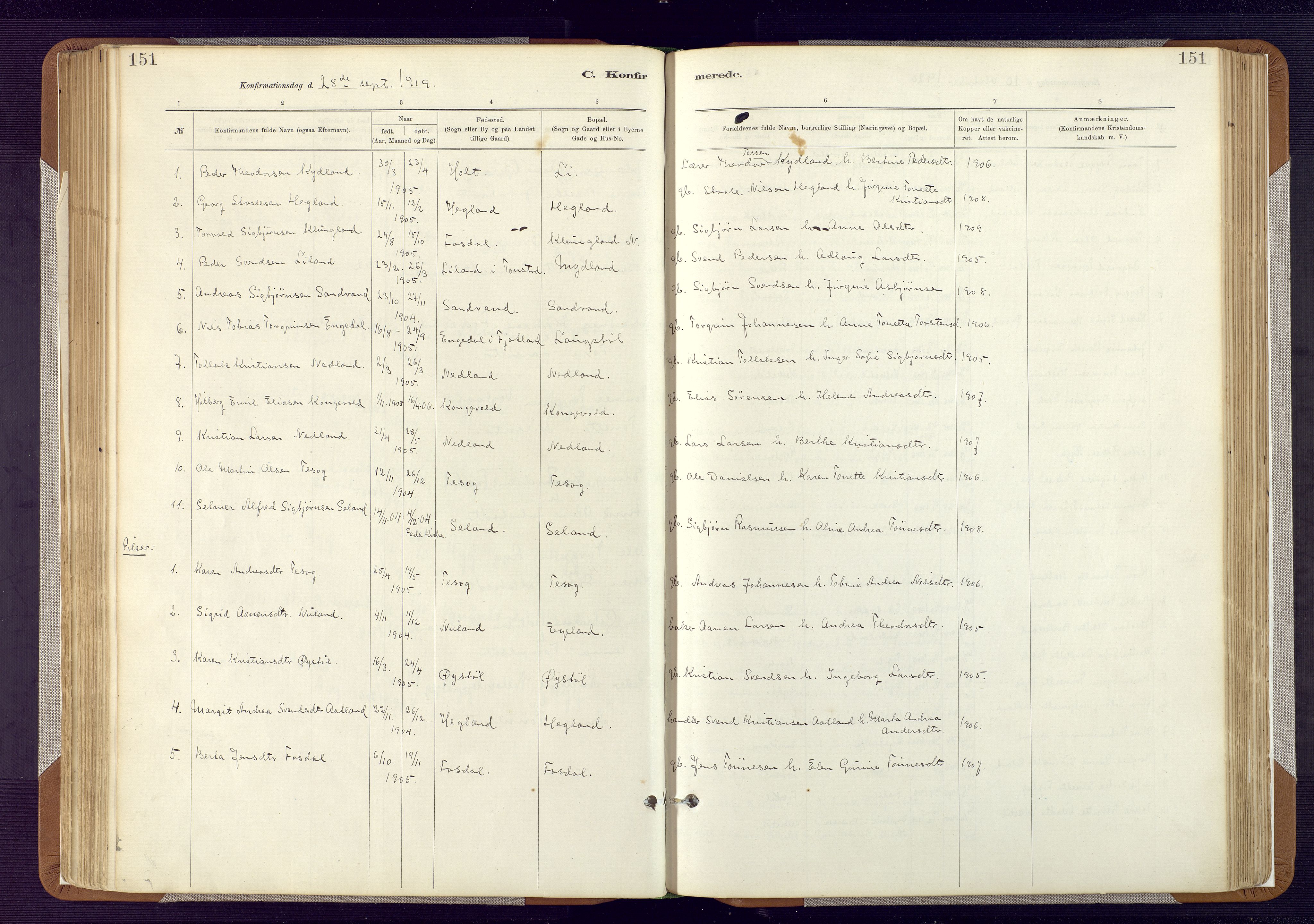 Bakke sokneprestkontor, SAK/1111-0002/F/Fa/Fab/L0003: Parish register (official) no. A 3, 1884-1921, p. 151