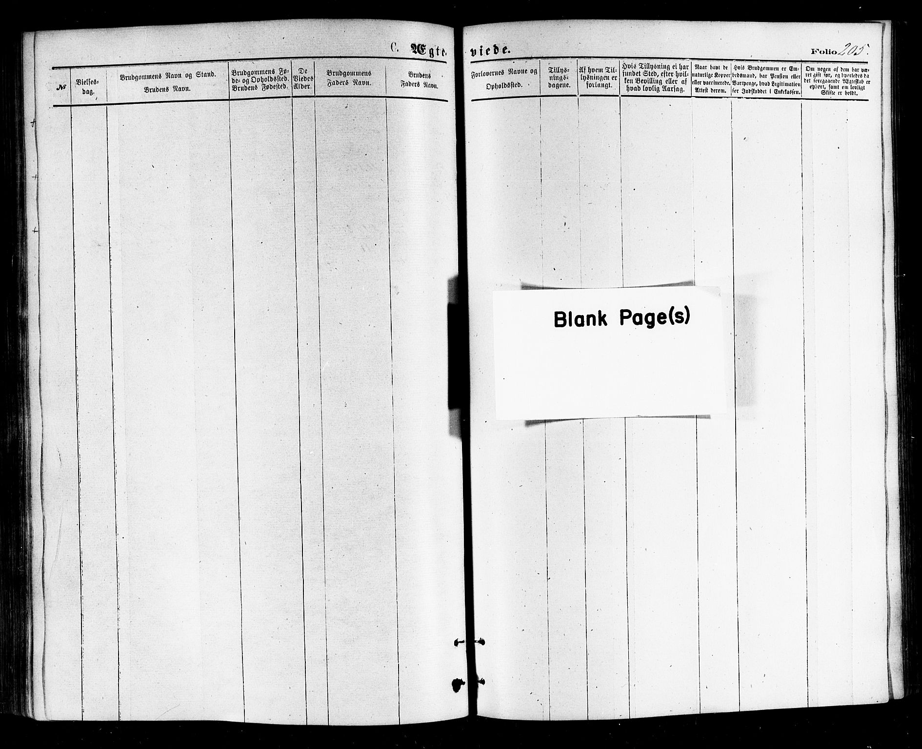 Ministerialprotokoller, klokkerbøker og fødselsregistre - Nordland, AV/SAT-A-1459/812/L0177: Parish register (official) no. 812A06, 1875-1885, p. 205