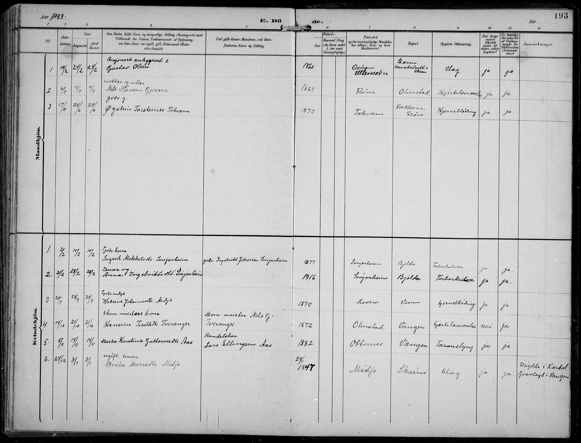 Aurland sokneprestembete, SAB/A-99937/H/Hb/Hba/L0003: Parish register (copy) no. A 3, 1896-1939, p. 193