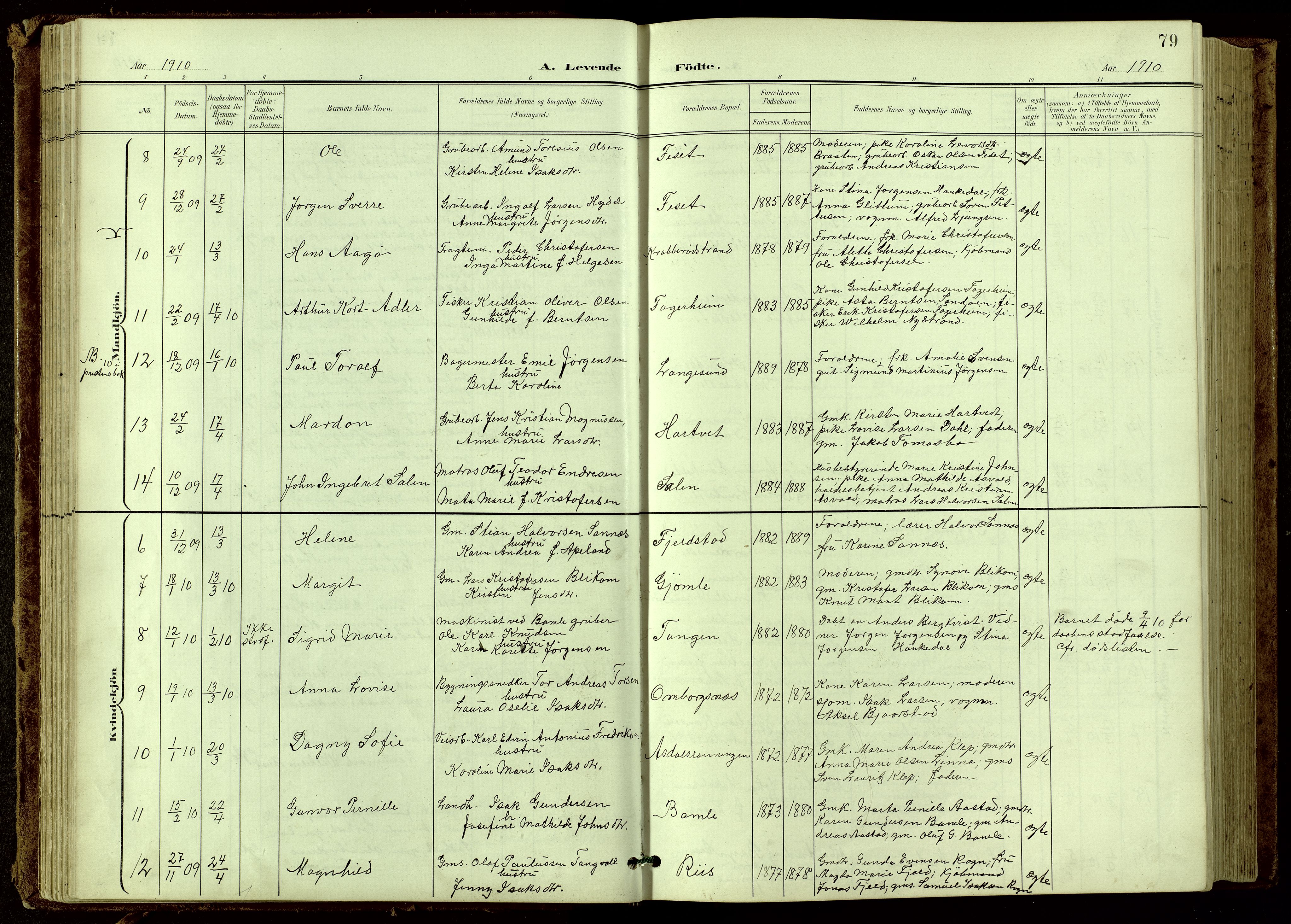 Bamble kirkebøker, SAKO/A-253/G/Ga/L0010: Parish register (copy) no. I 10, 1901-1919, p. 79