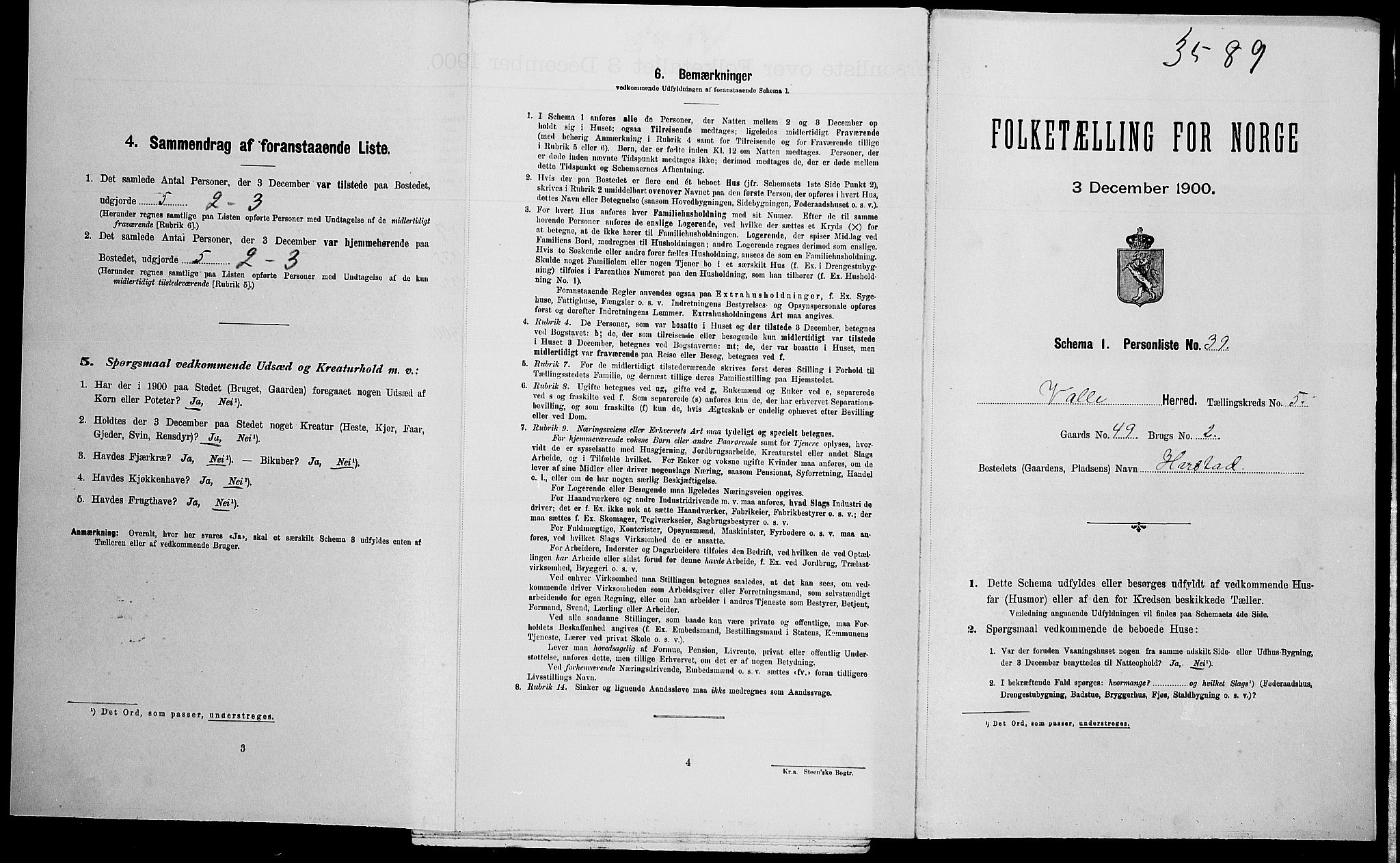 SAK, 1900 census for Valle, 1900, p. 494