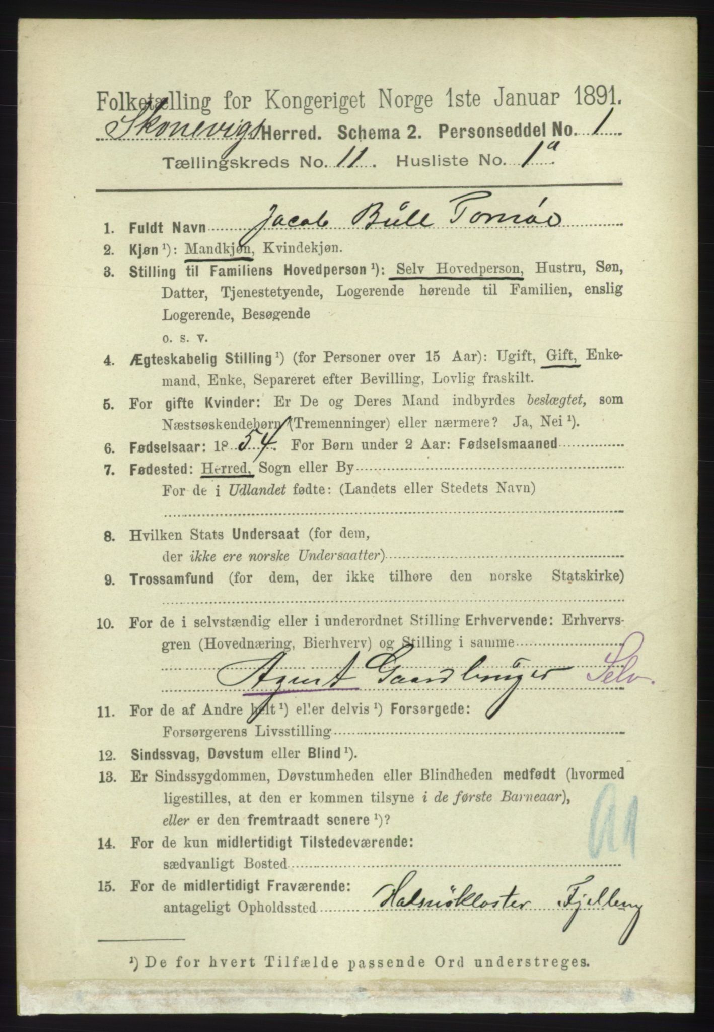 RA, 1891 census for 1212 Skånevik, 1891, p. 3326