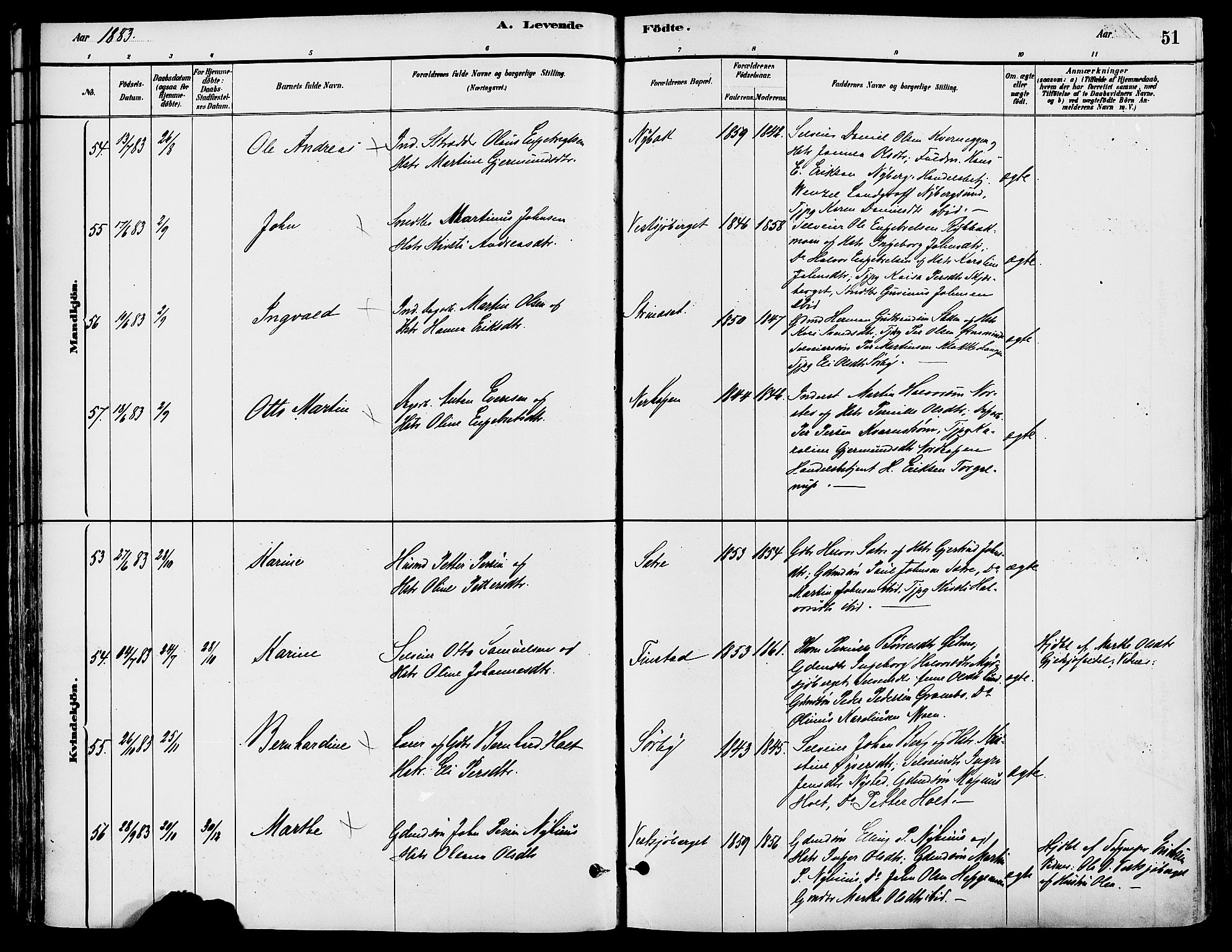 Trysil prestekontor, AV/SAH-PREST-046/H/Ha/Haa/L0008: Parish register (official) no. 8, 1881-1897, p. 51