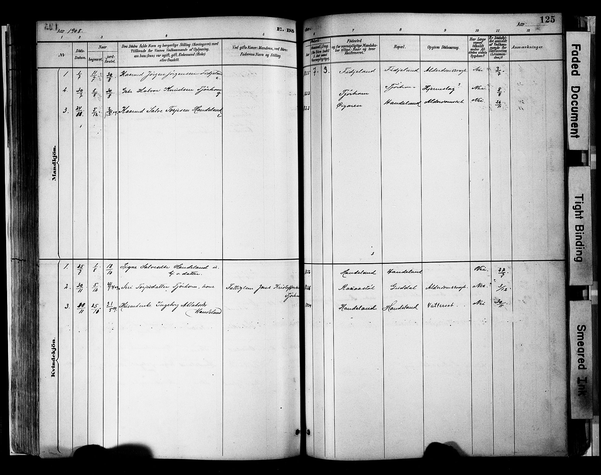 Sirdal sokneprestkontor, SAK/1111-0036/F/Fa/Faa/L0001: Parish register (official) no. A 1, 1887-1910, p. 125