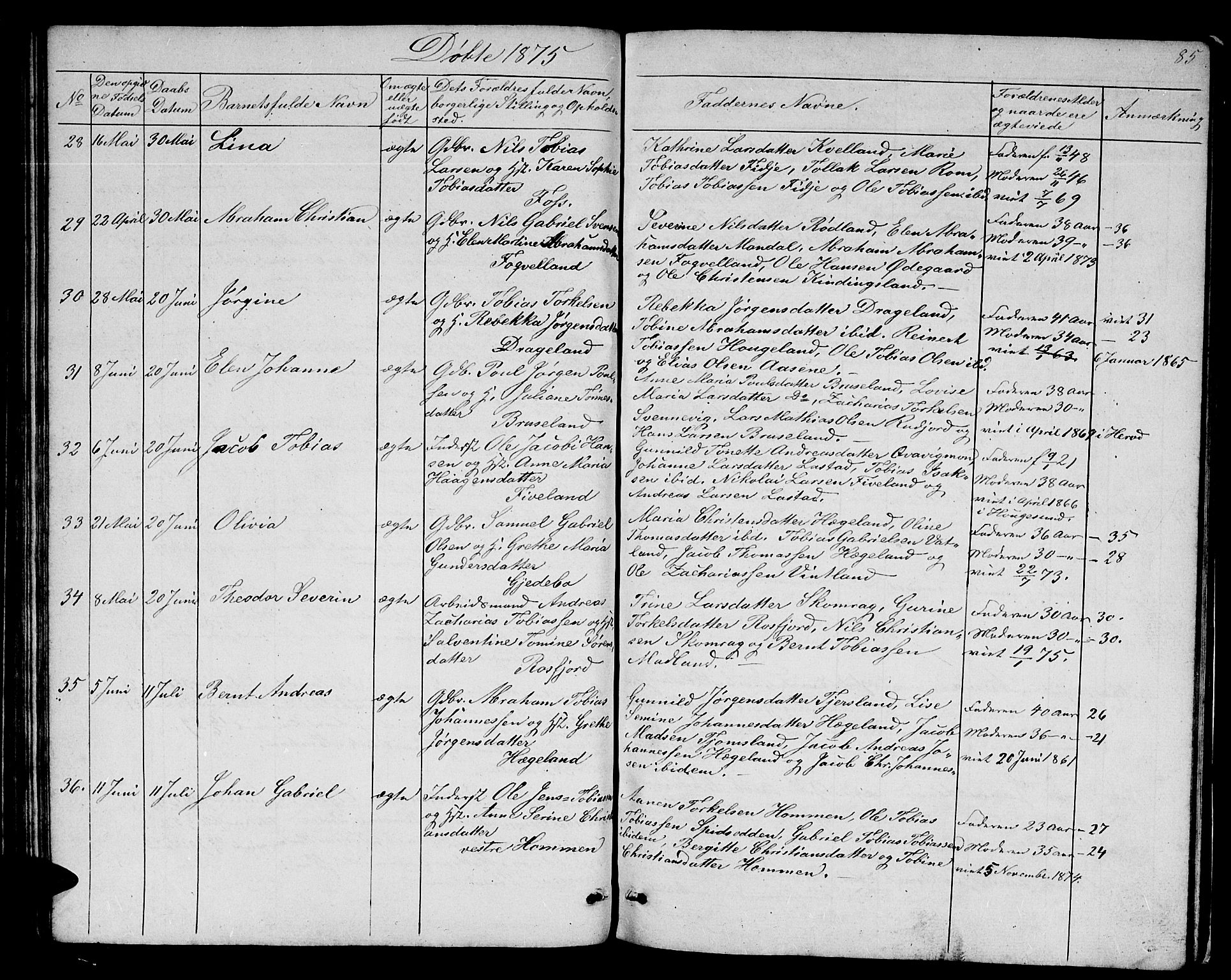 Lyngdal sokneprestkontor, AV/SAK-1111-0029/F/Fb/Fbc/L0003: Parish register (copy) no. B 3, 1865-1878, p. 85