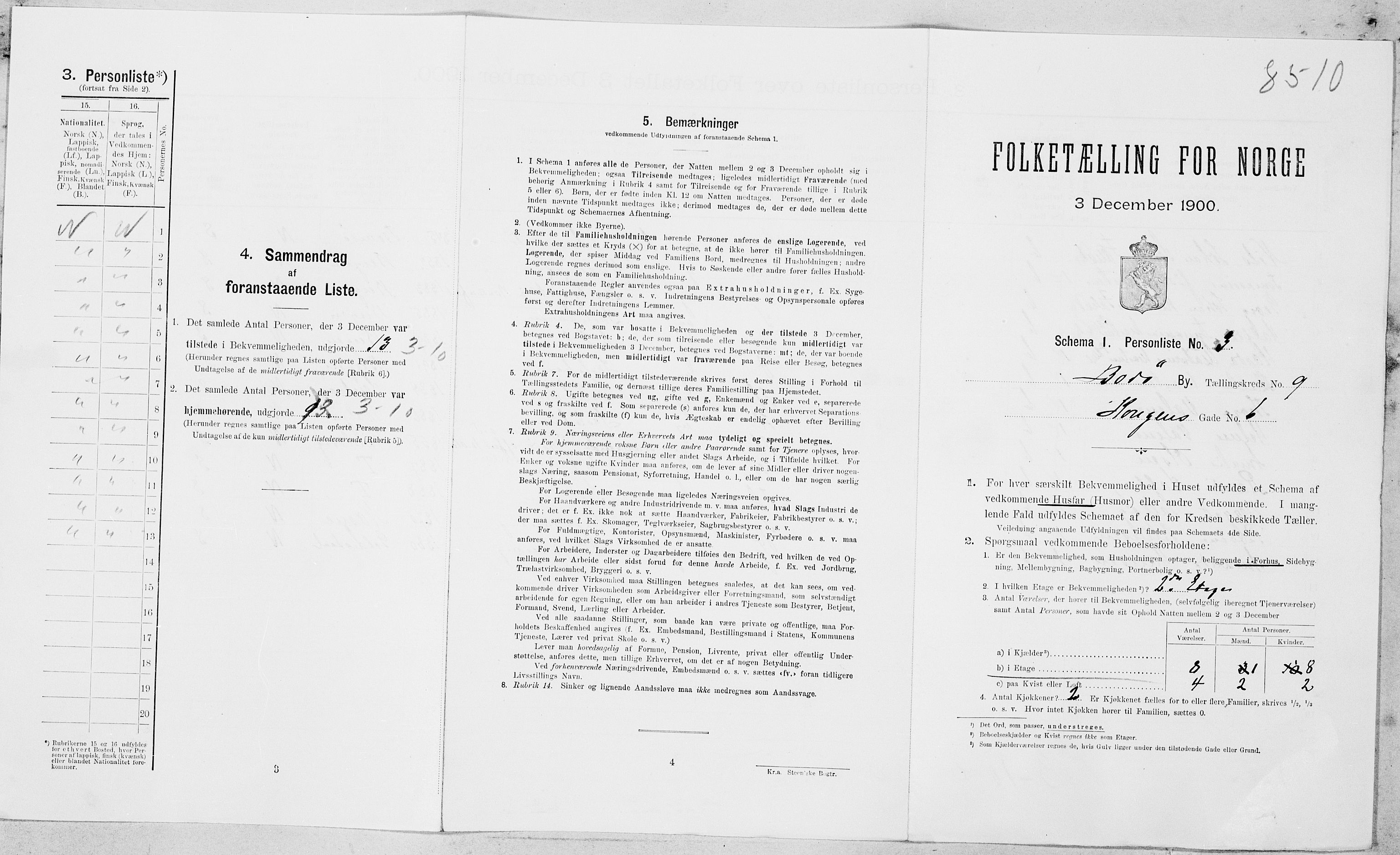 SAT, 1900 census for Bodø, 1900, p. 735