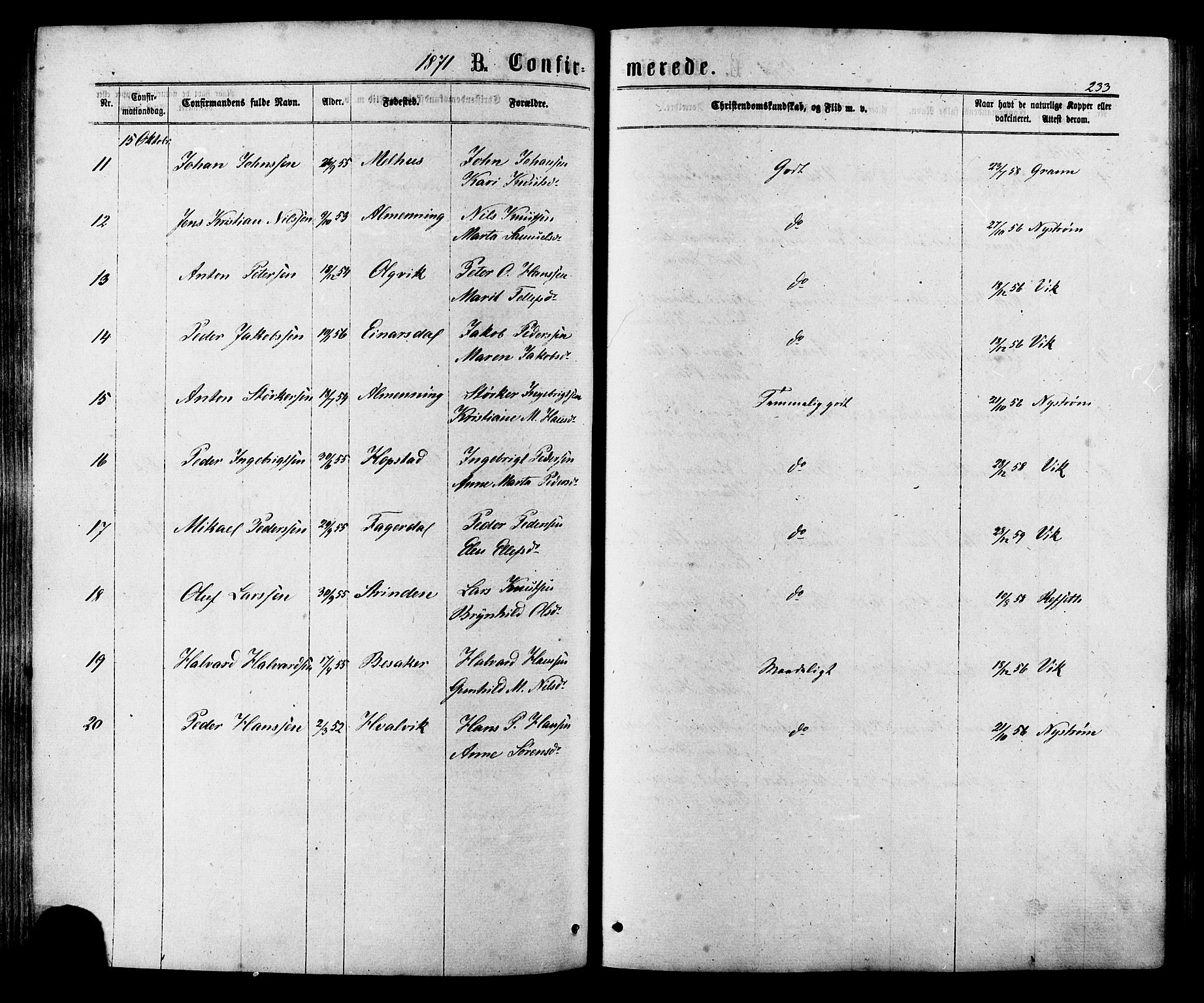 Ministerialprotokoller, klokkerbøker og fødselsregistre - Sør-Trøndelag, SAT/A-1456/657/L0706: Parish register (official) no. 657A07, 1867-1878, p. 233