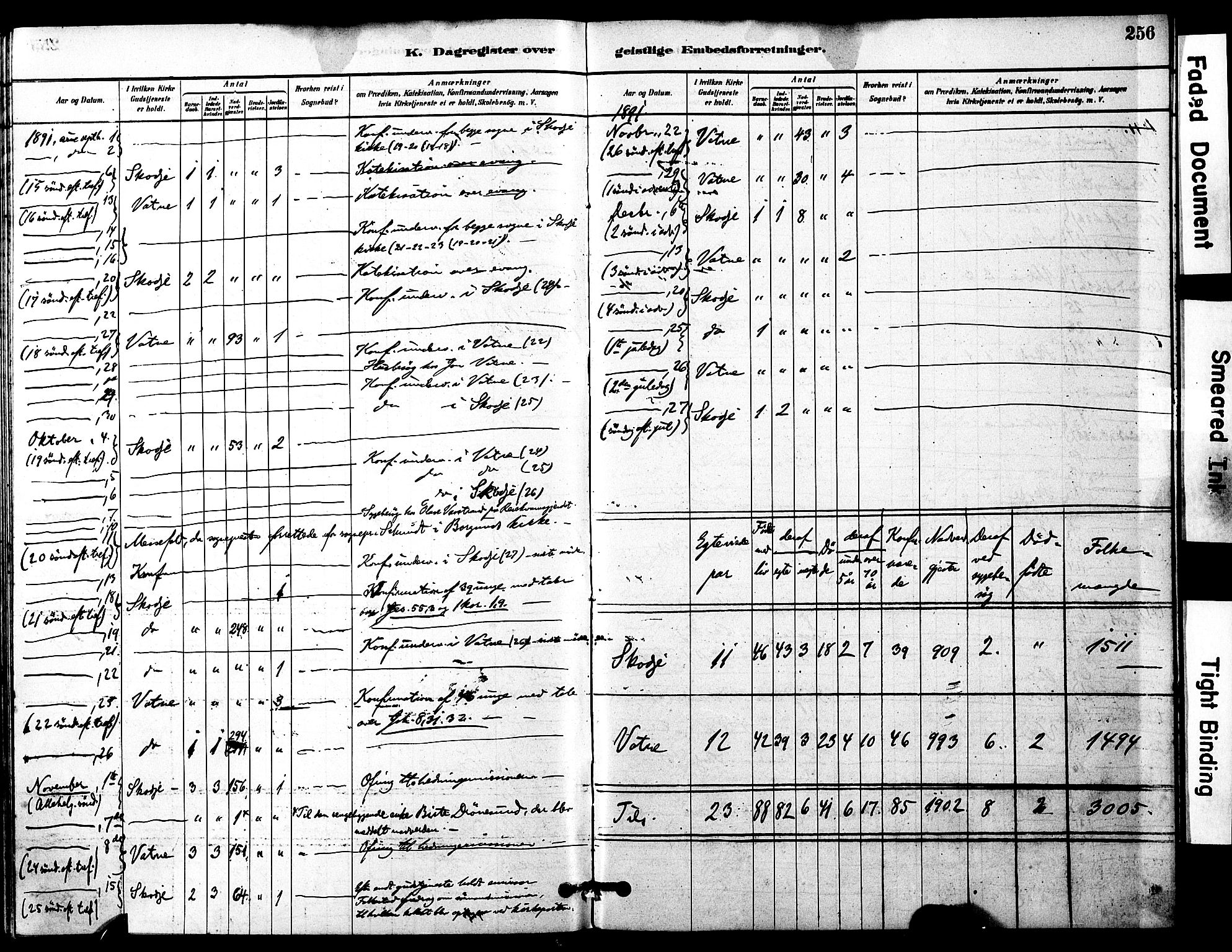 Ministerialprotokoller, klokkerbøker og fødselsregistre - Møre og Romsdal, AV/SAT-A-1454/525/L0374: Parish register (official) no. 525A04, 1880-1899, p. 256