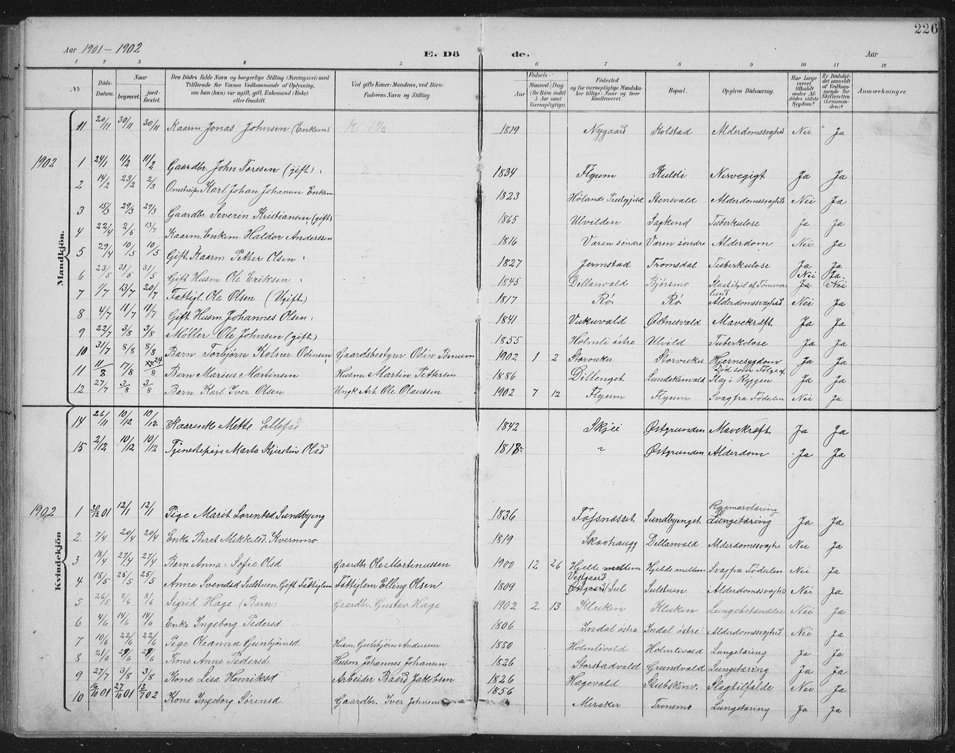 Ministerialprotokoller, klokkerbøker og fødselsregistre - Nord-Trøndelag, SAT/A-1458/724/L0269: Parish register (copy) no. 724C05, 1899-1920, p. 226