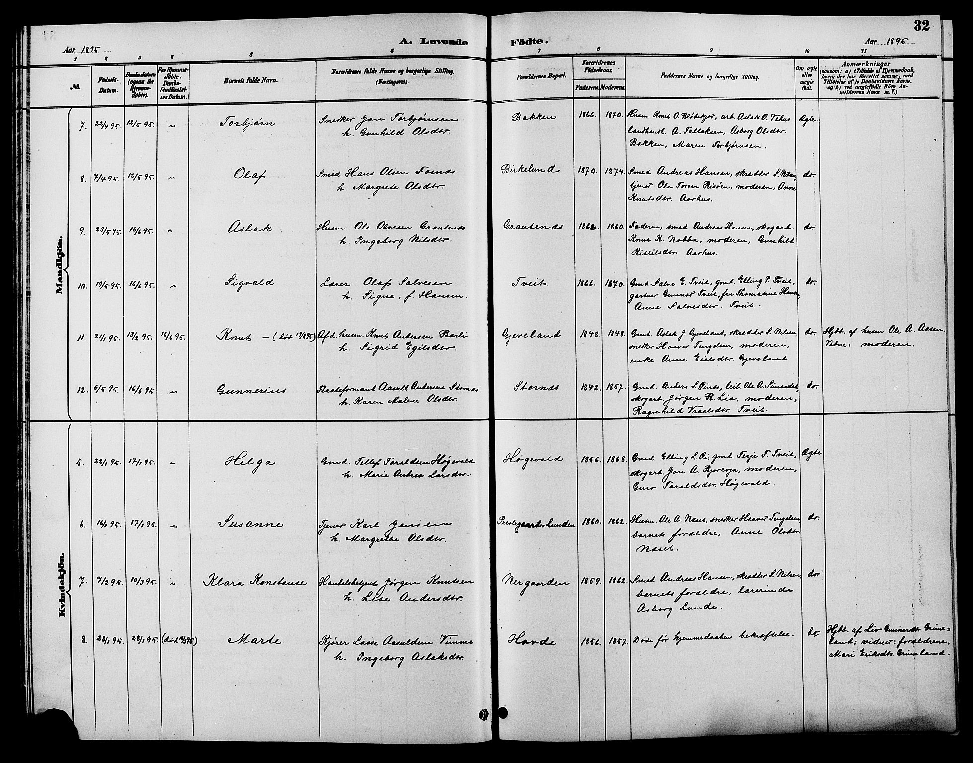 Åmli sokneprestkontor, AV/SAK-1111-0050/F/Fb/Fbc/L0004: Parish register (copy) no. B 4, 1889-1902, p. 32