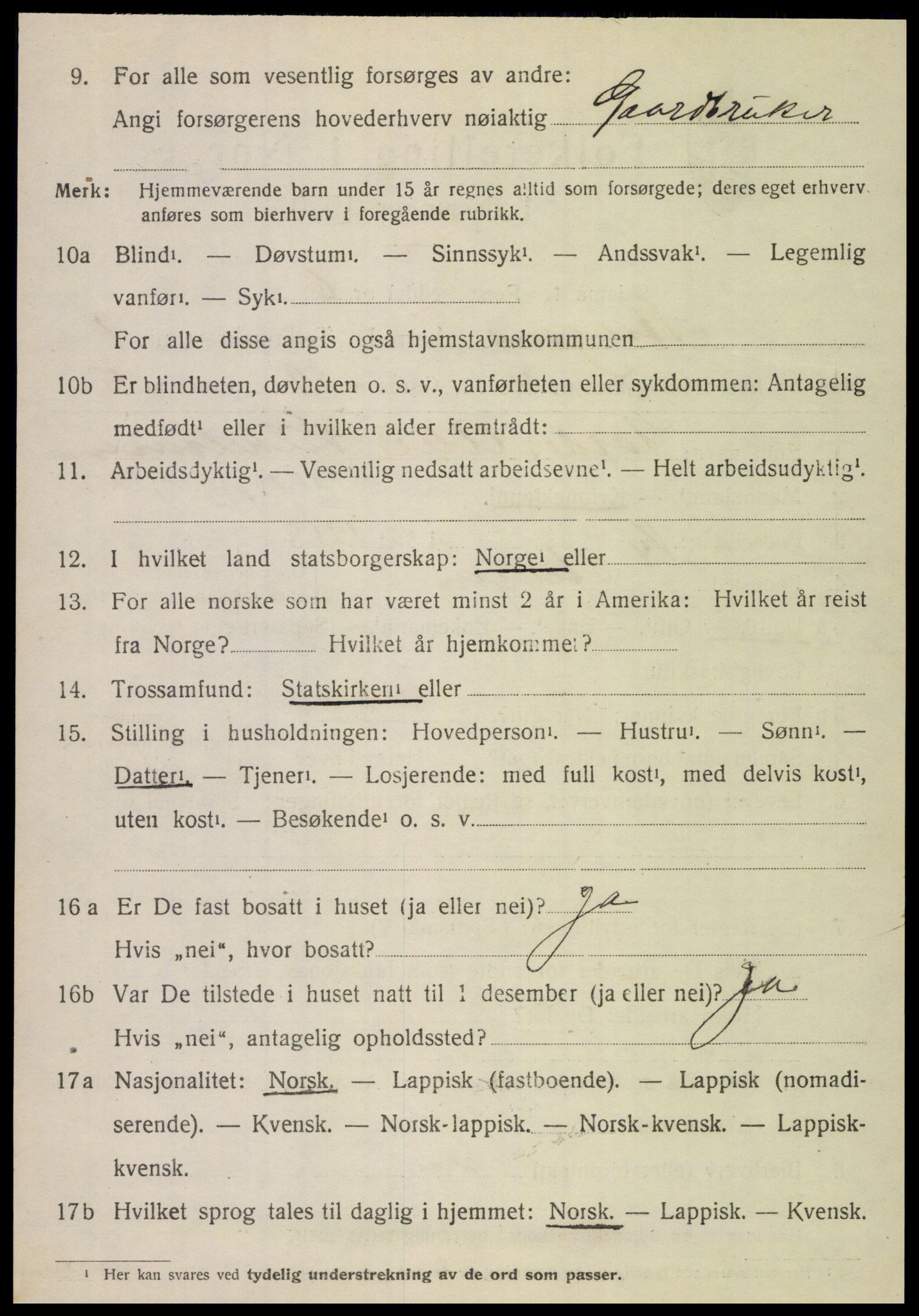 SAT, 1920 census for Steigen, 1920, p. 1117